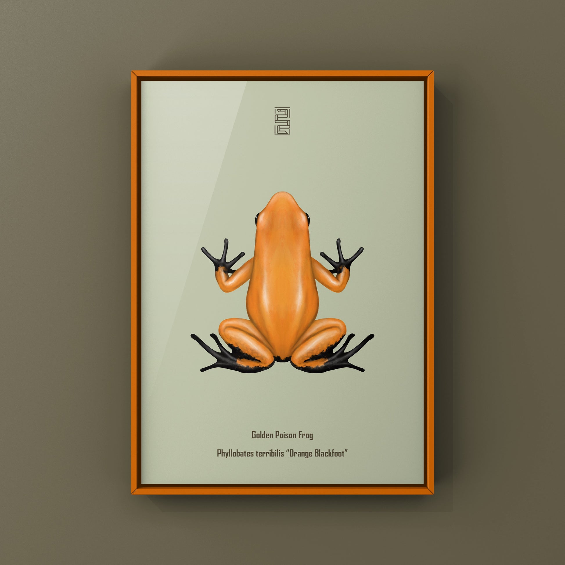 Orange and black Golden Poison Frog art print by The Silk Ranch, showcasing vibrant Phyllobates terribilis details on high-quality paper.