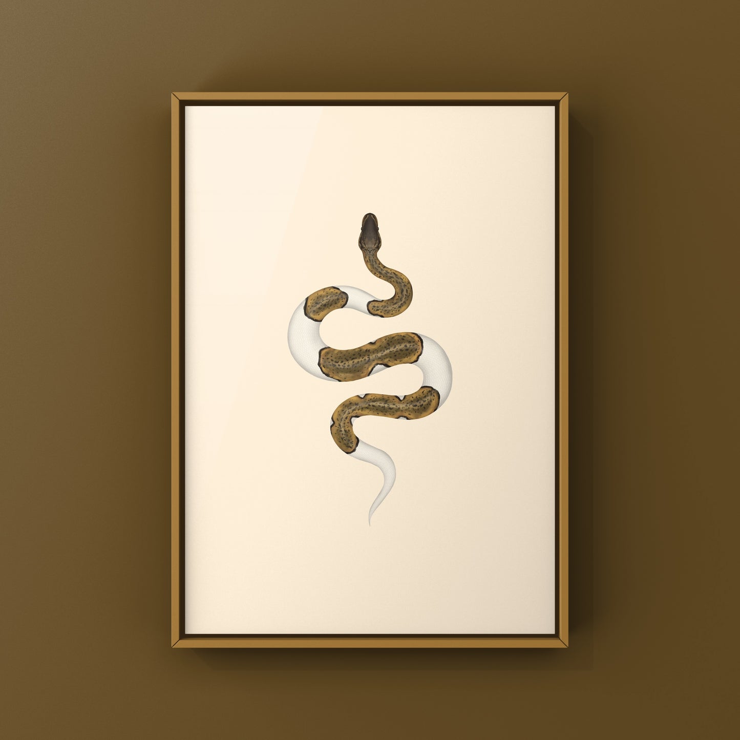 Monsoon Pied Ball Python art print by The Silk Ranch featuring a colorful Python regius with distinctive markings.
