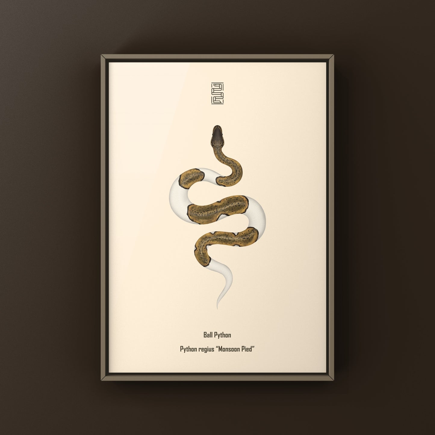 Monsoon Pied Ball Python art print by The Silk Ranch showing detailed python artwork on high-quality paper.