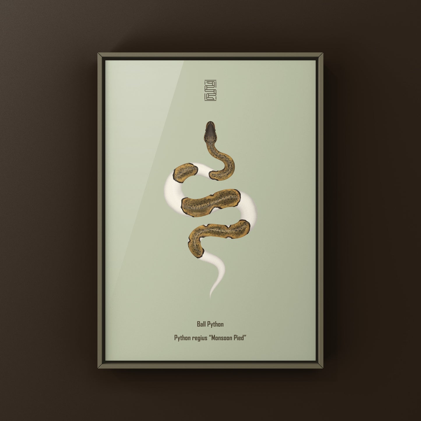 Monsoon Pied Ball Python art print featuring a Python regius with distinctive patterns, displayed on a neutral background.