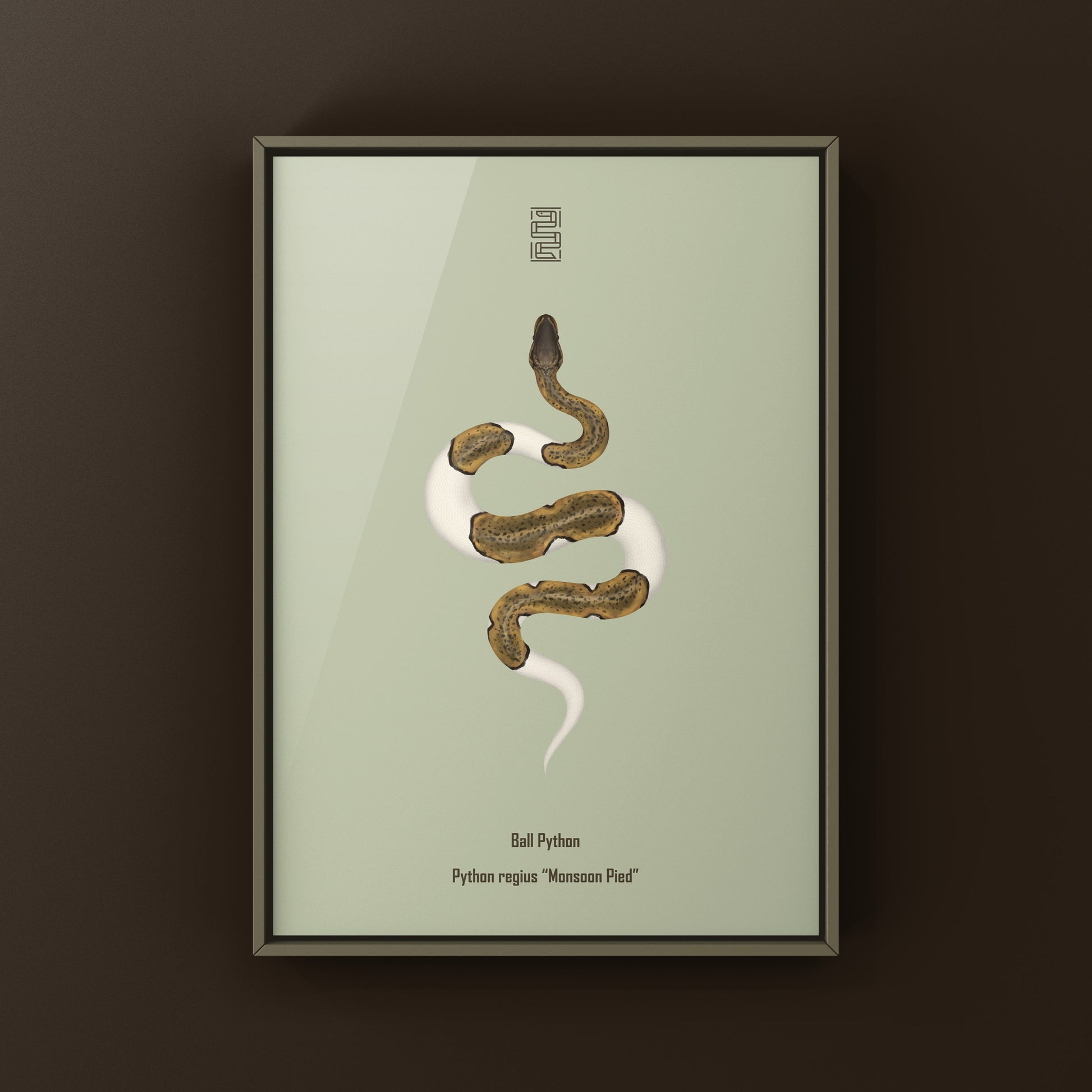 Monsoon Pied Ball Python art print featuring a Python regius with distinctive patterns, displayed on a neutral background.