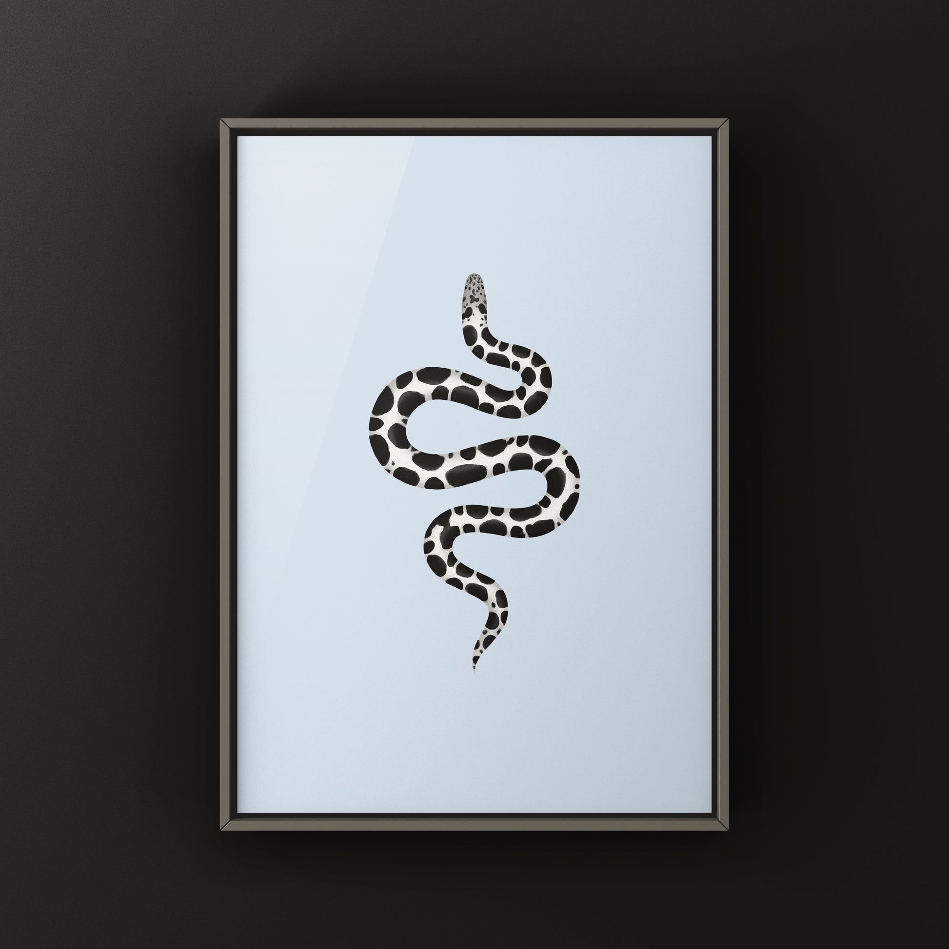 Anerythristic Kenyan Sand Boa art print featuring a detailed illustration of Gongylophis colubrinus on a white background.