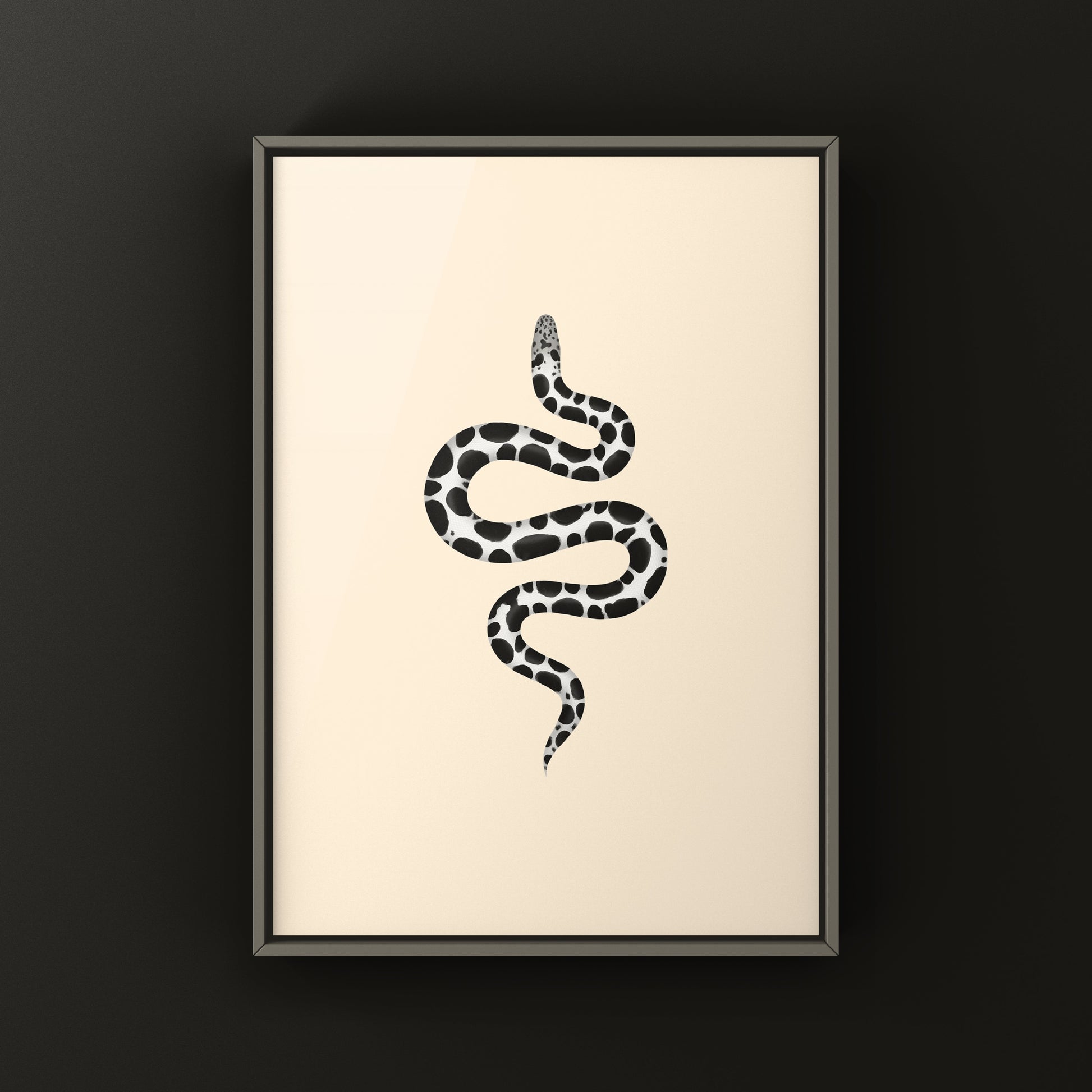 Anerythristic Kenyan Sand Boa art print featuring detailed illustration of Gongylophis colubrinus from The Silk Ranch