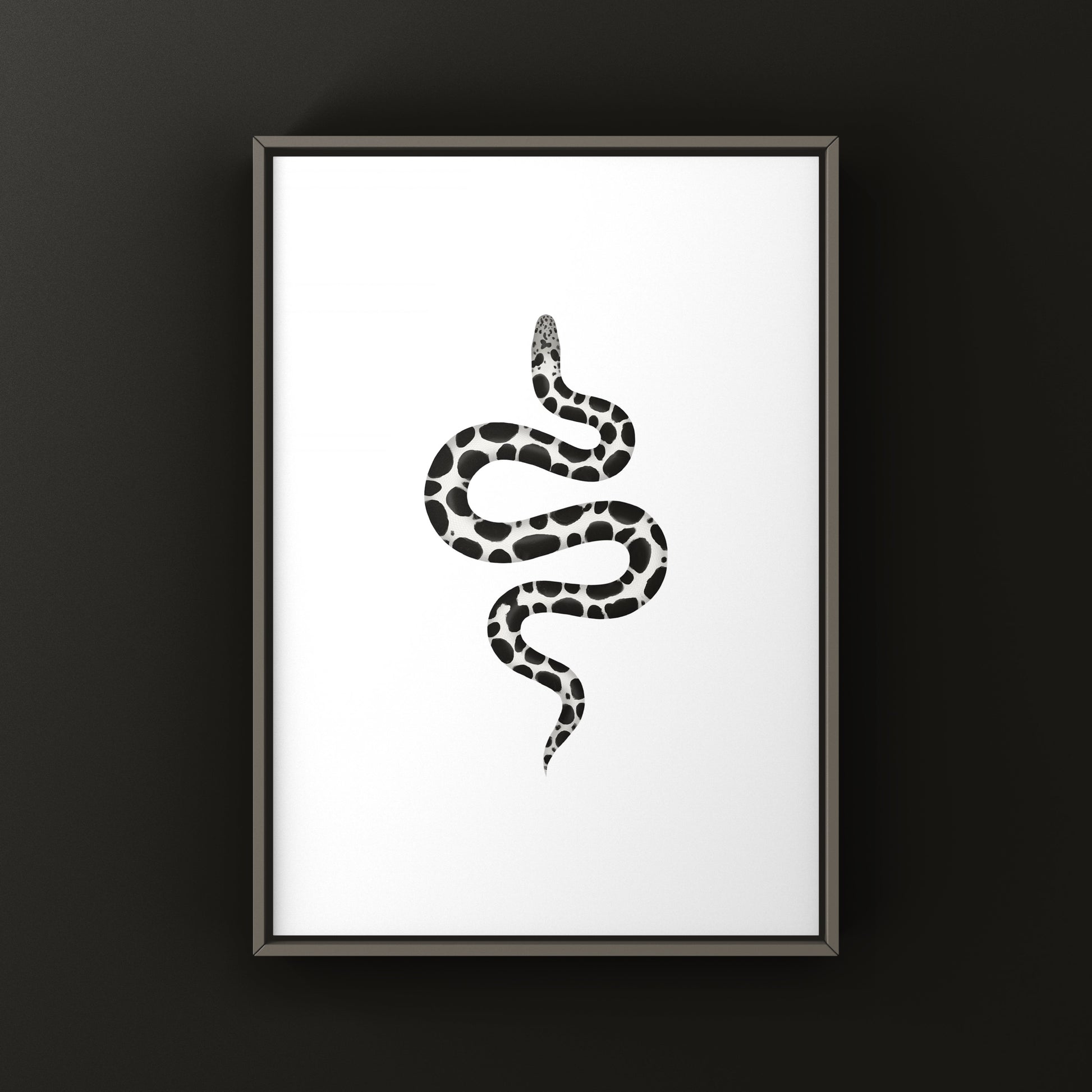 Anerythristic Kenyan Sand Boa art print by The Silk Ranch showing detailed snake illustration on textured paper.