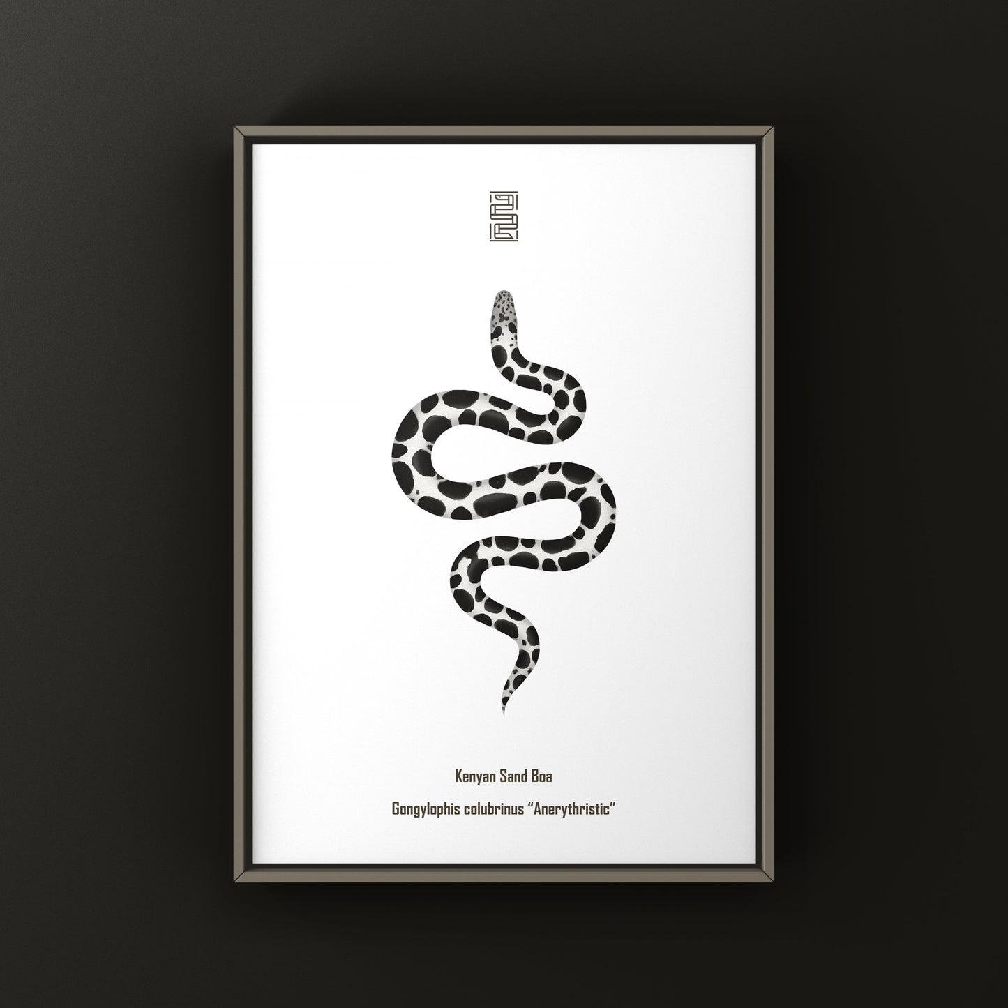 Anerythristic Kenyan Sand Boa art print by The Silk Ranch showing detailed black and white snake illustration.