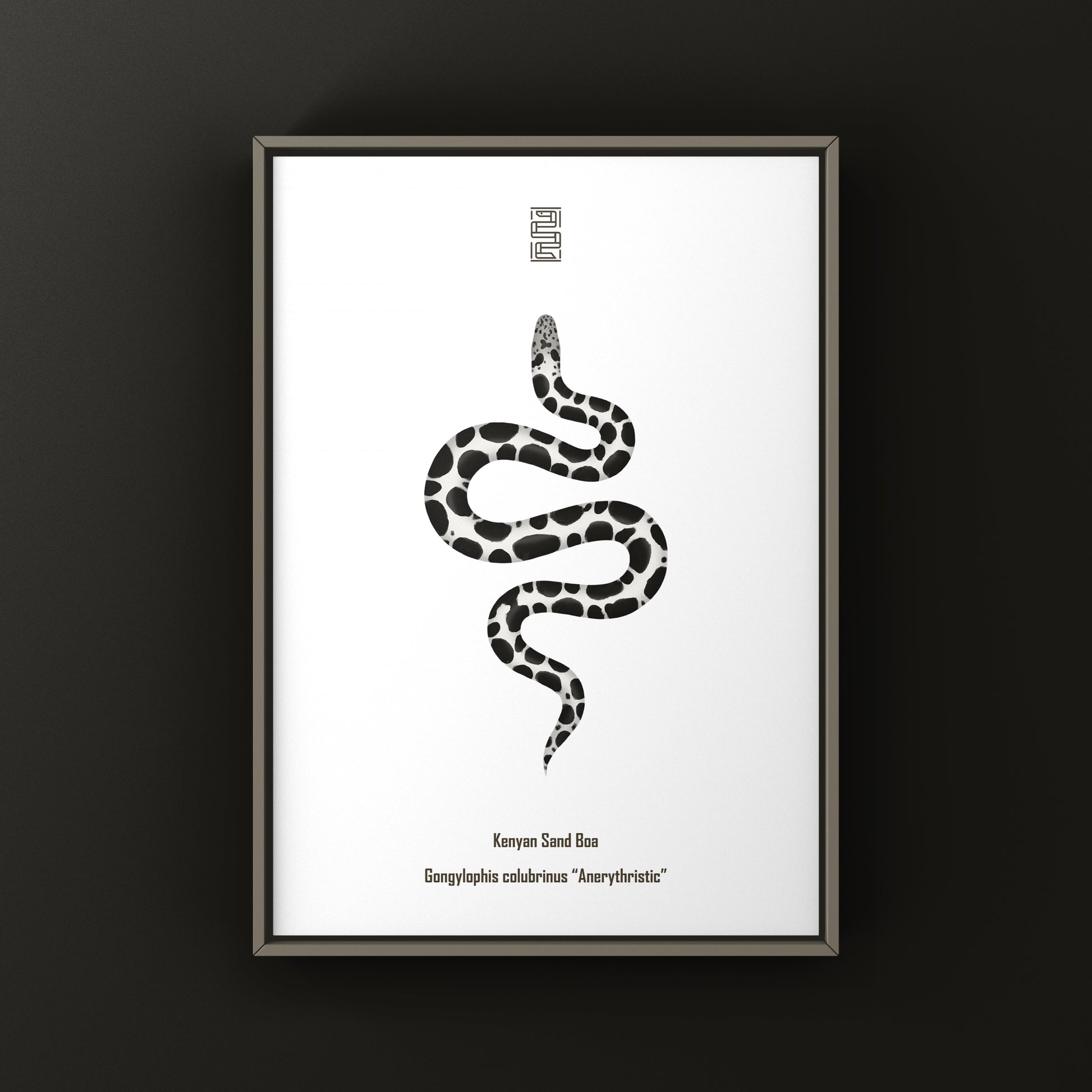 Anerythristic Kenyan Sand Boa art print by The Silk Ranch showing detailed black and white snake illustration.