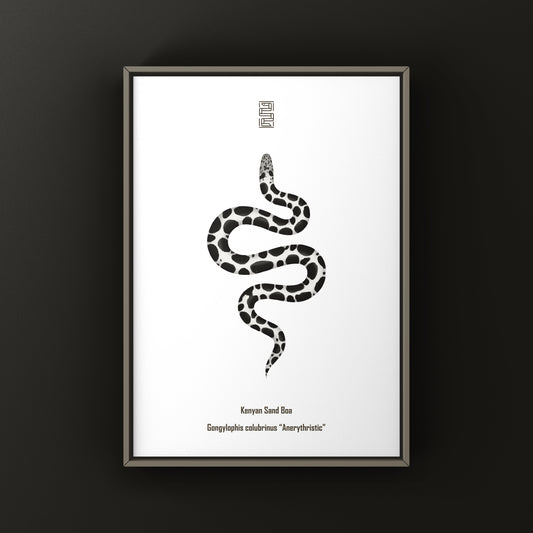 Anerythristic Kenyan Sand Boa art print by The Silk Ranch showing detailed black and white snake illustration.