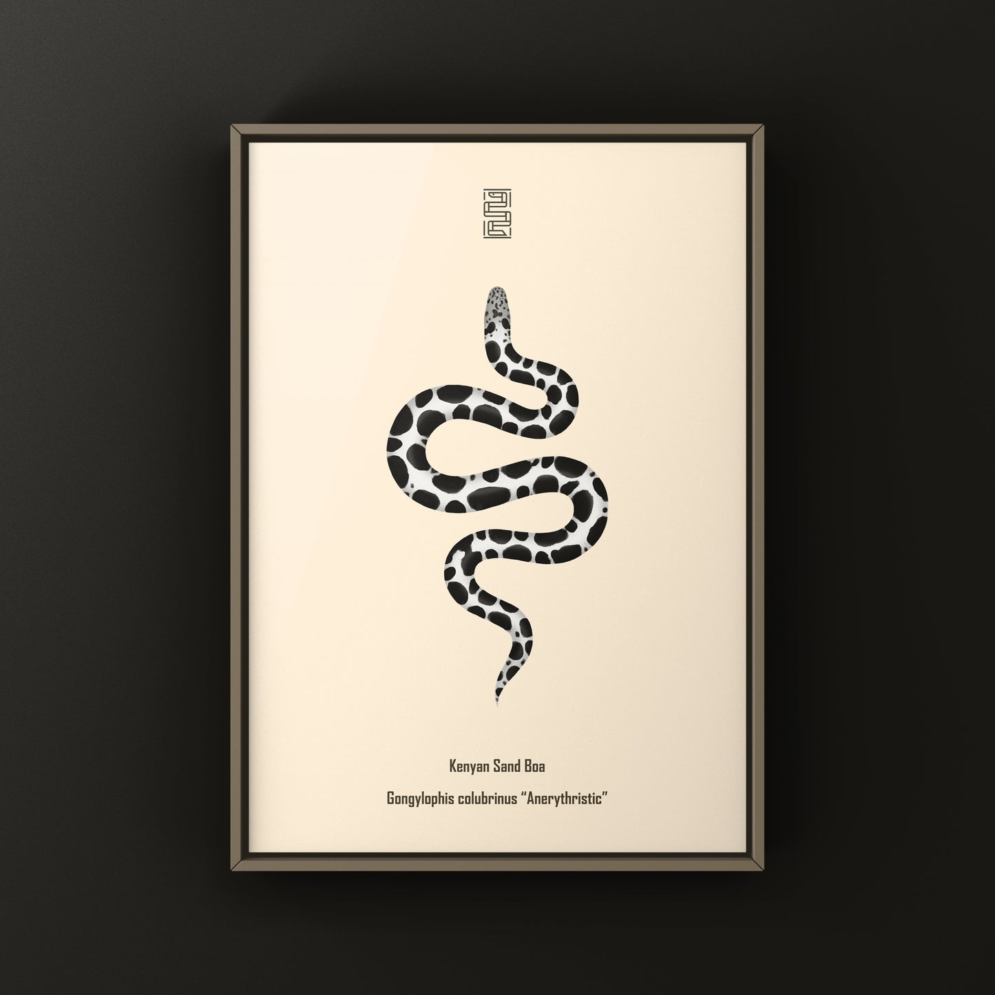Anerythristic Kenyan Sand Boa art print by The Silk Ranch, showcasing detailed black and white snake illustration.