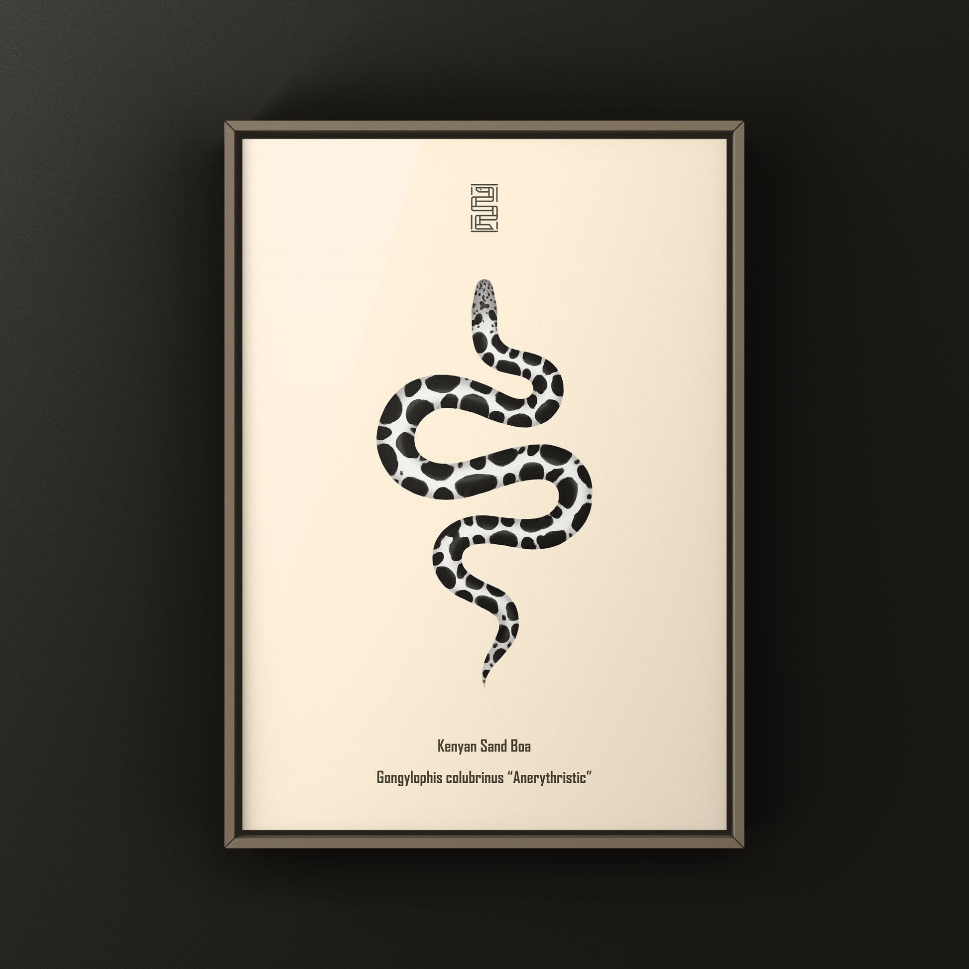 Anerythristic Kenyan Sand Boa art print by The Silk Ranch, showcasing detailed black and white snake illustration.