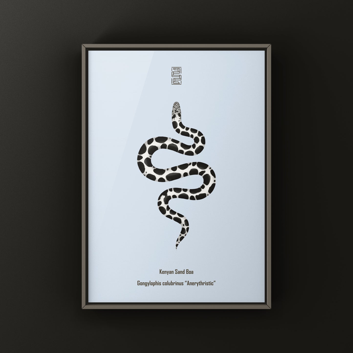 Anerythristic Kenyan Sand Boa art print by The Silk Ranch depicting a snake with gray and black coloration on a neutral background.
