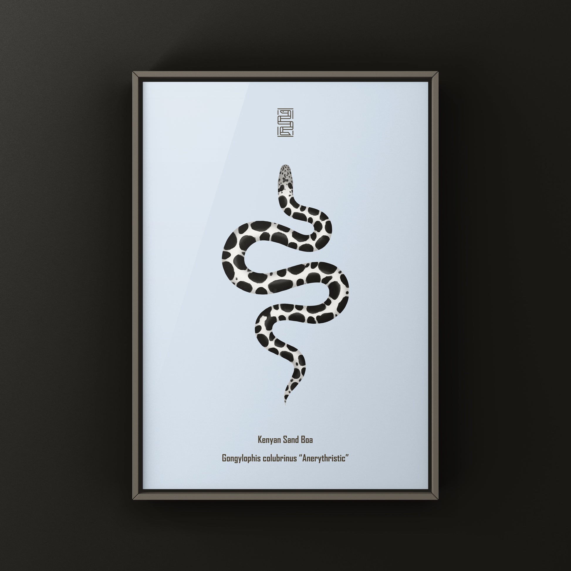Anerythristic Kenyan Sand Boa art print by The Silk Ranch depicting a snake with gray and black coloration on a neutral background.