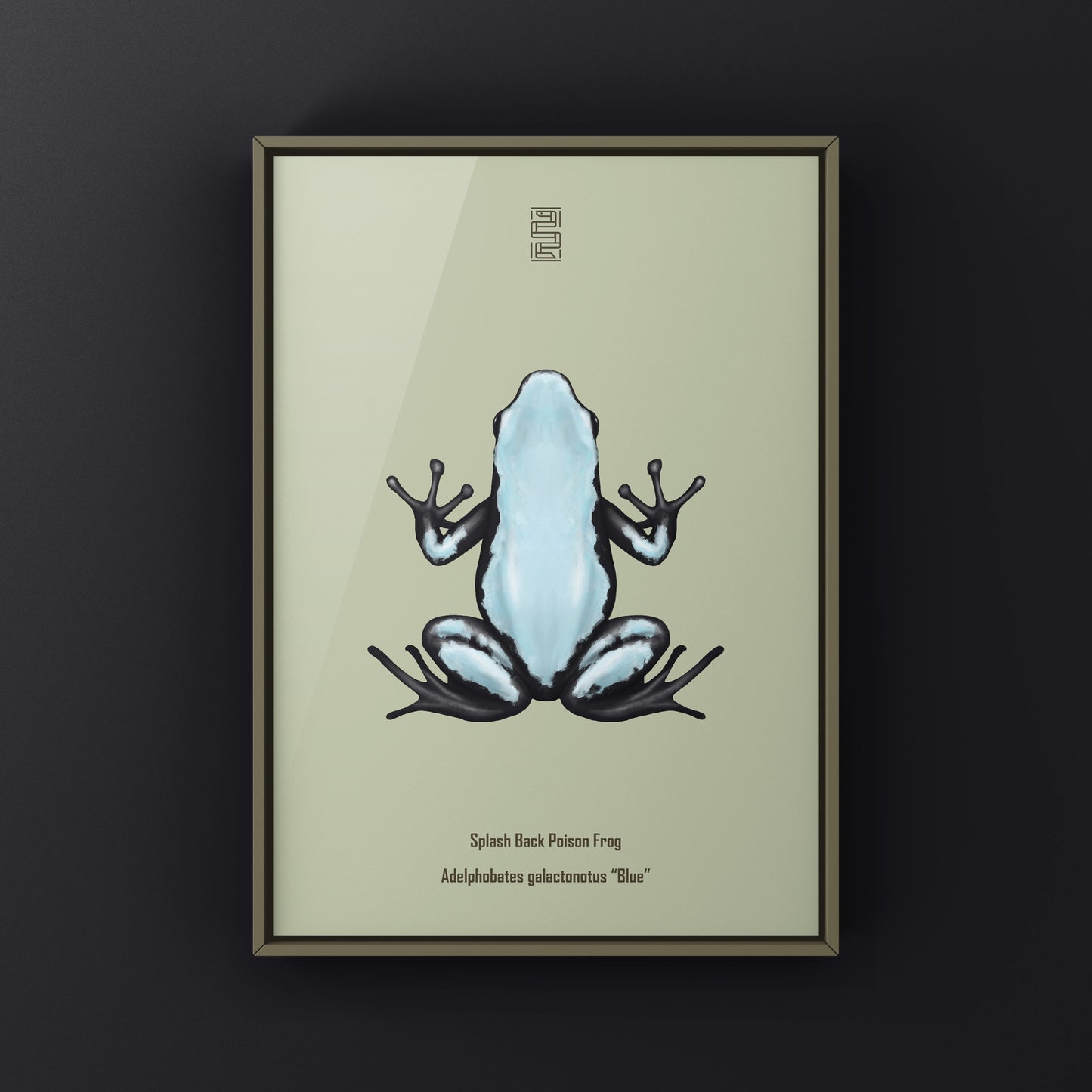 Blue Splash Back Poison Frog art print by The Silk Ranch featuring vibrant Adelphobates galactonotus illustration.