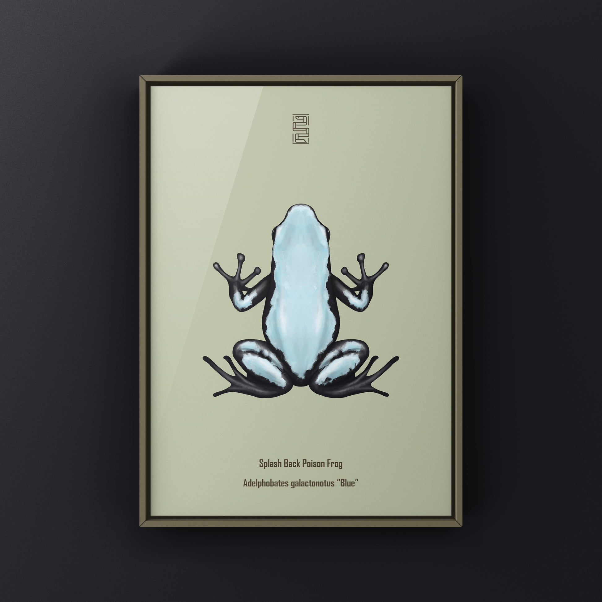 Blue Splash Back Poison Frog art print by The Silk Ranch featuring vibrant Adelphobates galactonotus illustration.