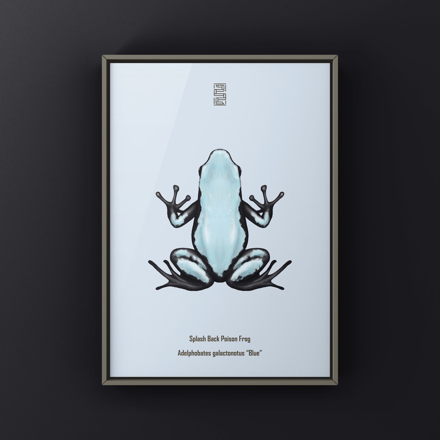 Blue Splash Back Poison Frog art print by The Silk Ranch, featuring vibrant Adelphobates galactonotus illustration on high-quality paper.