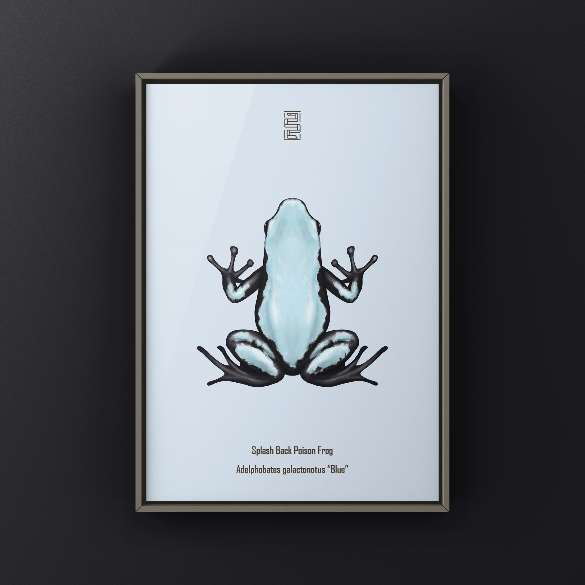 Blue Splash Back Poison Frog art print by The Silk Ranch, featuring vibrant Adelphobates galactonotus illustration on high-quality paper.