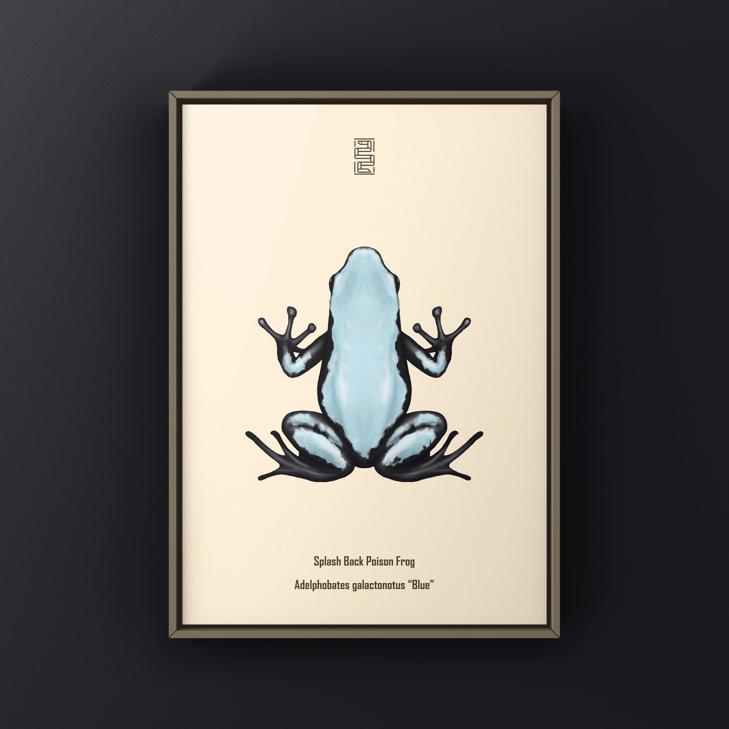 Blue Splash Back Poison Frog art print by The Silk Ranch featuring vibrant Adelphobates galactonotus design.