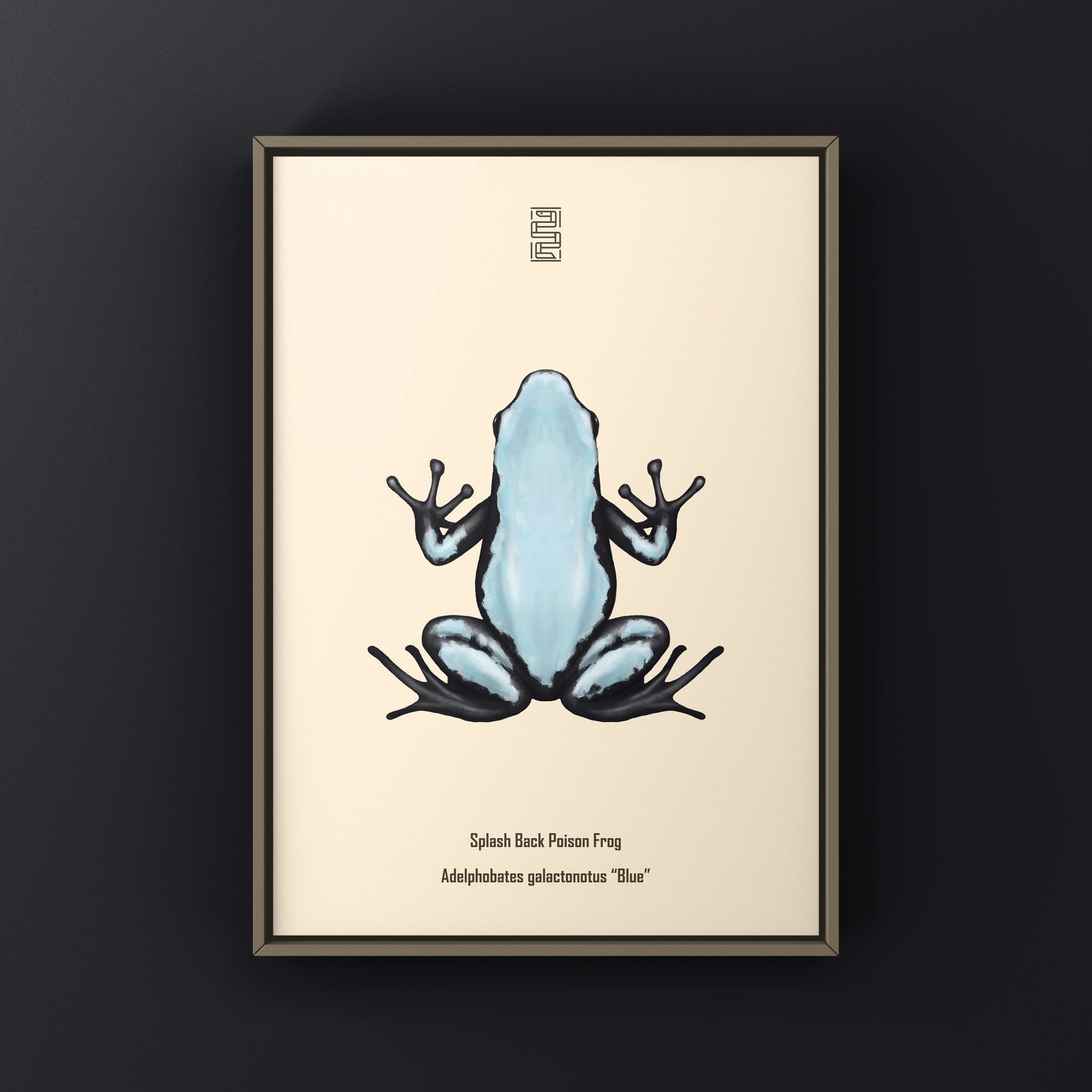 Blue Splash Back Poison Frog art print by The Silk Ranch featuring vibrant Adelphobates galactonotus design.