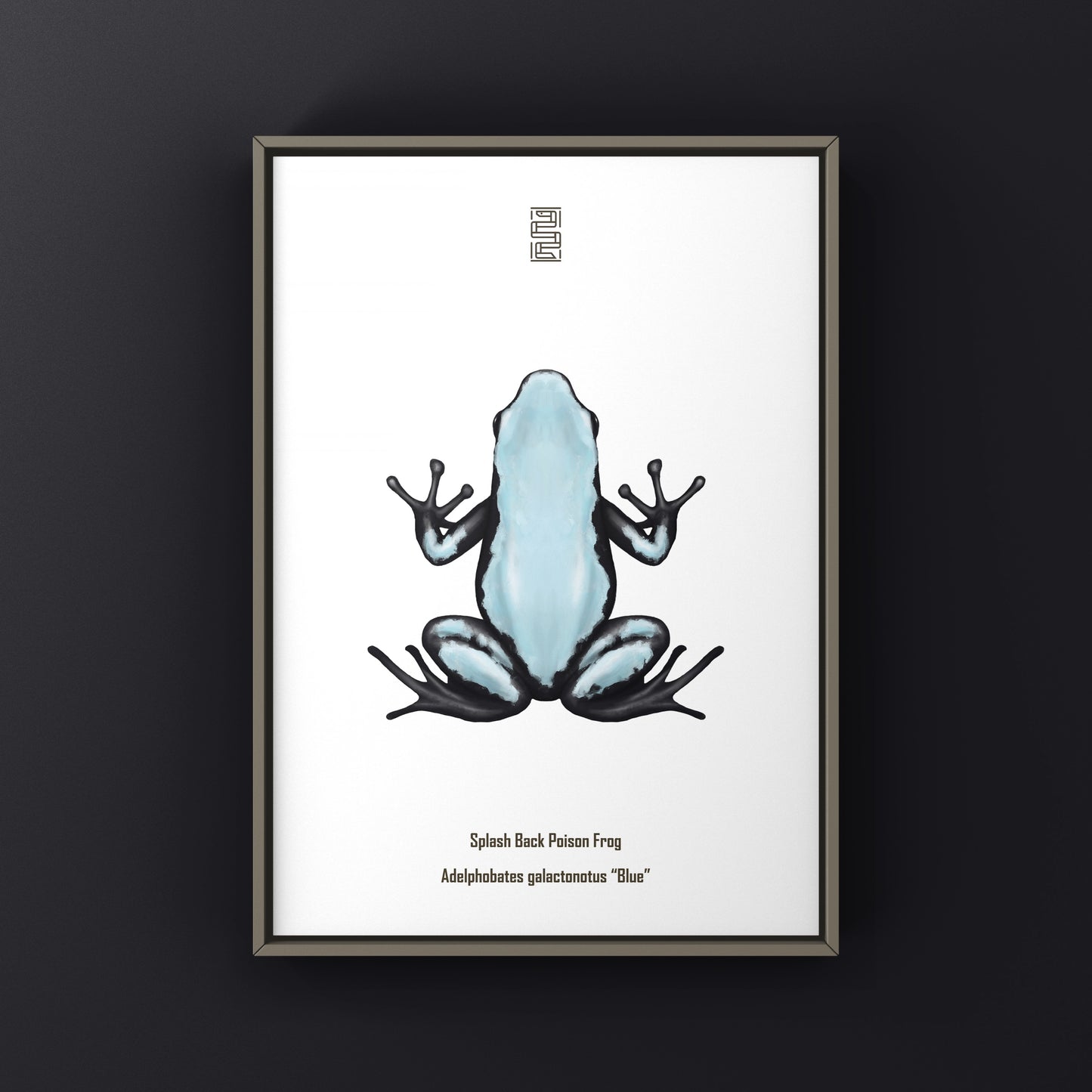 Blue Splash Back Poison Frog art print by The Silk Ranch featuring vibrant Adelphobates galactonotus design on paper.