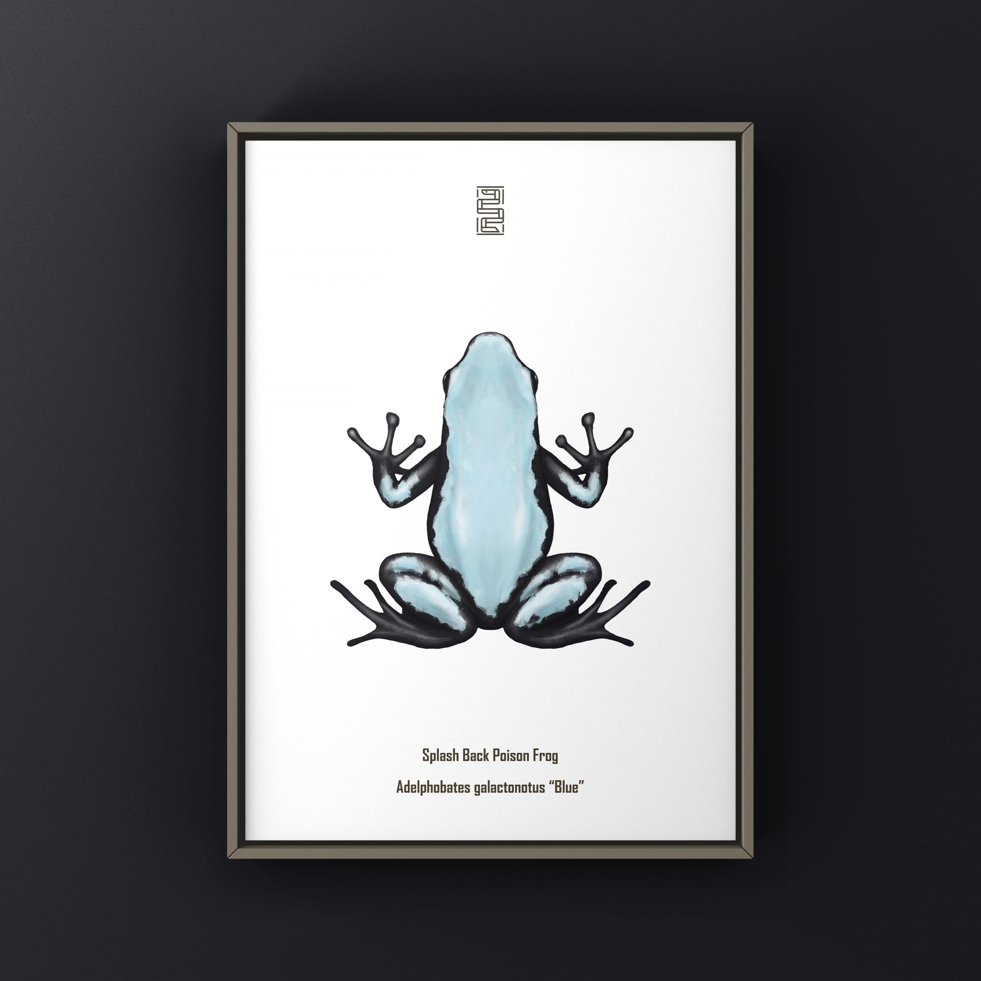 Blue Splash Back Poison Frog art print by The Silk Ranch featuring vibrant Adelphobates galactonotus design on paper.