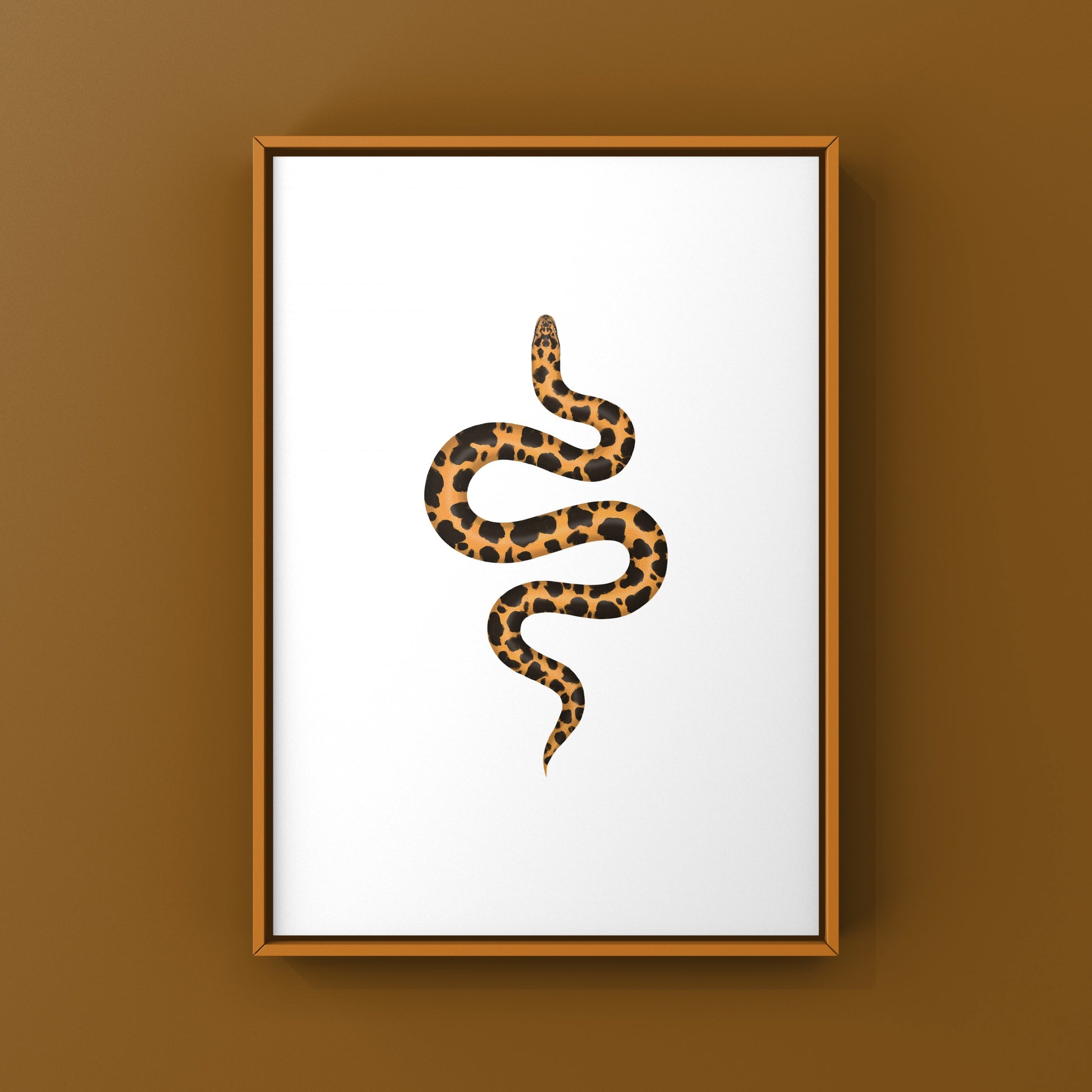 Kenyan Sand Boa art print by The Silk Ranch featuring detailed illustration of Gongylophis colubrinus snake on white background.