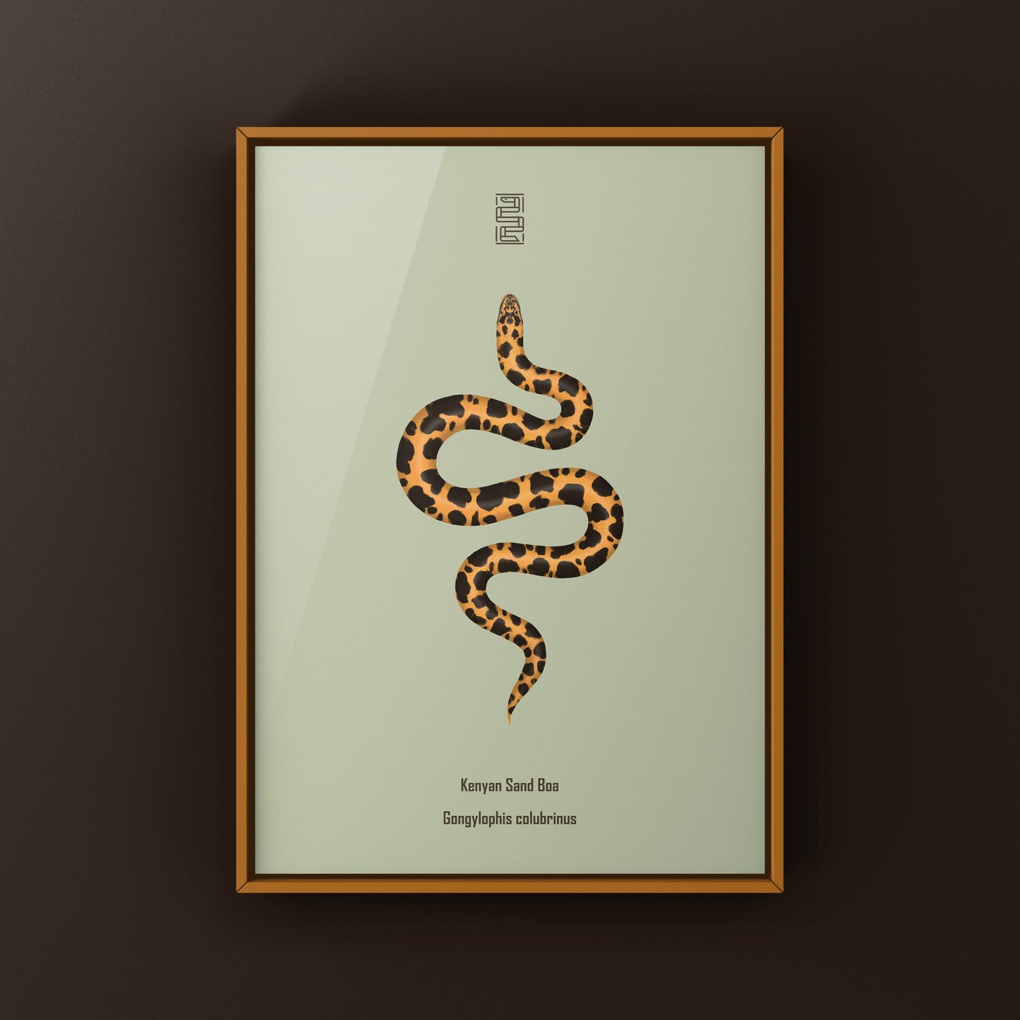 Kenyan Sand Boa art print featuring a Gongylophis colubrinus snake in natural colors, displayed on a white background.