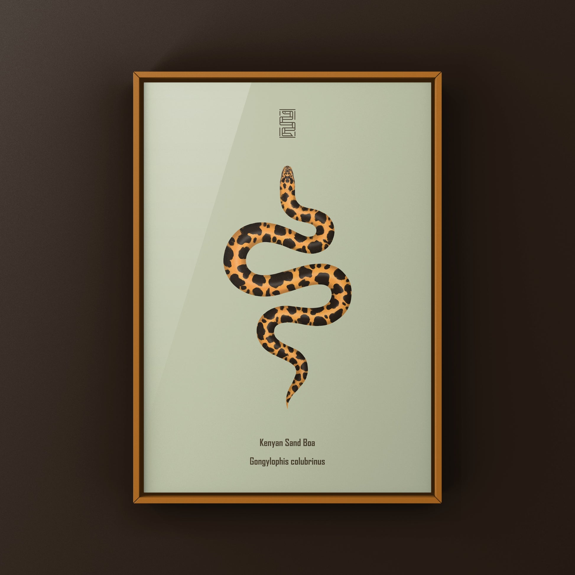 Kenyan Sand Boa art print featuring a Gongylophis colubrinus snake in natural colors, displayed on a white background.