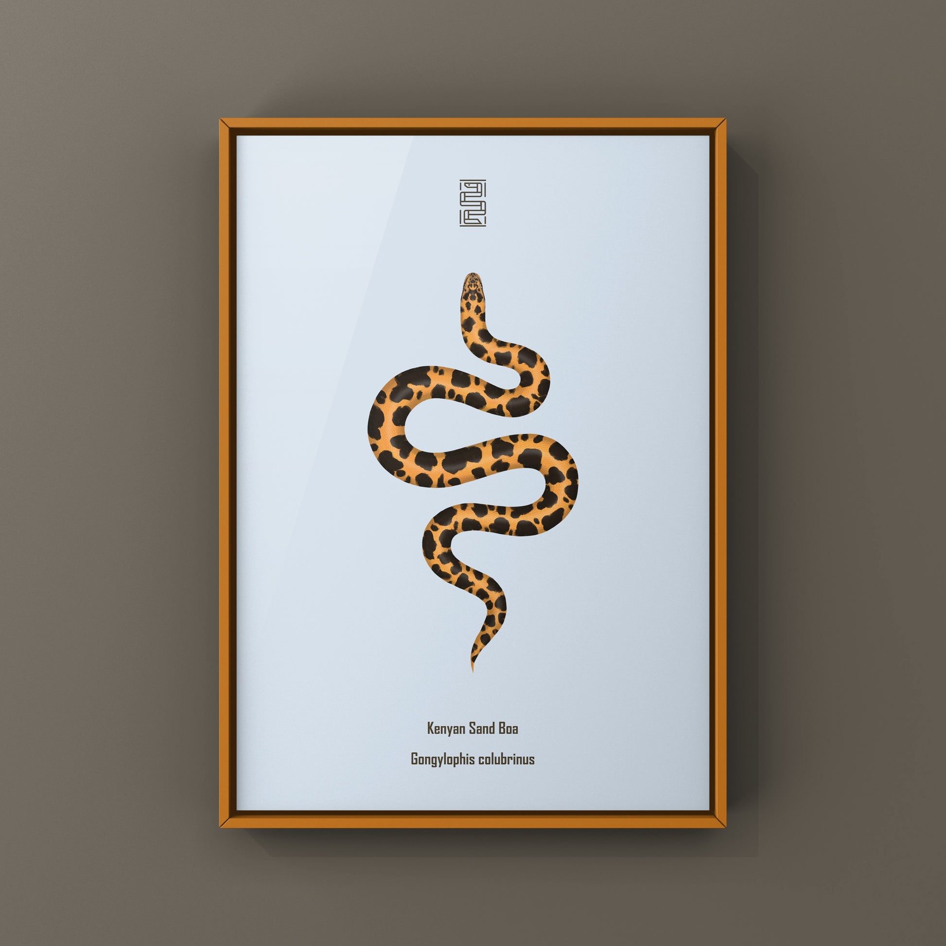 Kenyan Sand Boa art print by The Silk Ranch featuring detailed illustration of Gongylophis colubrinus snake on white background.