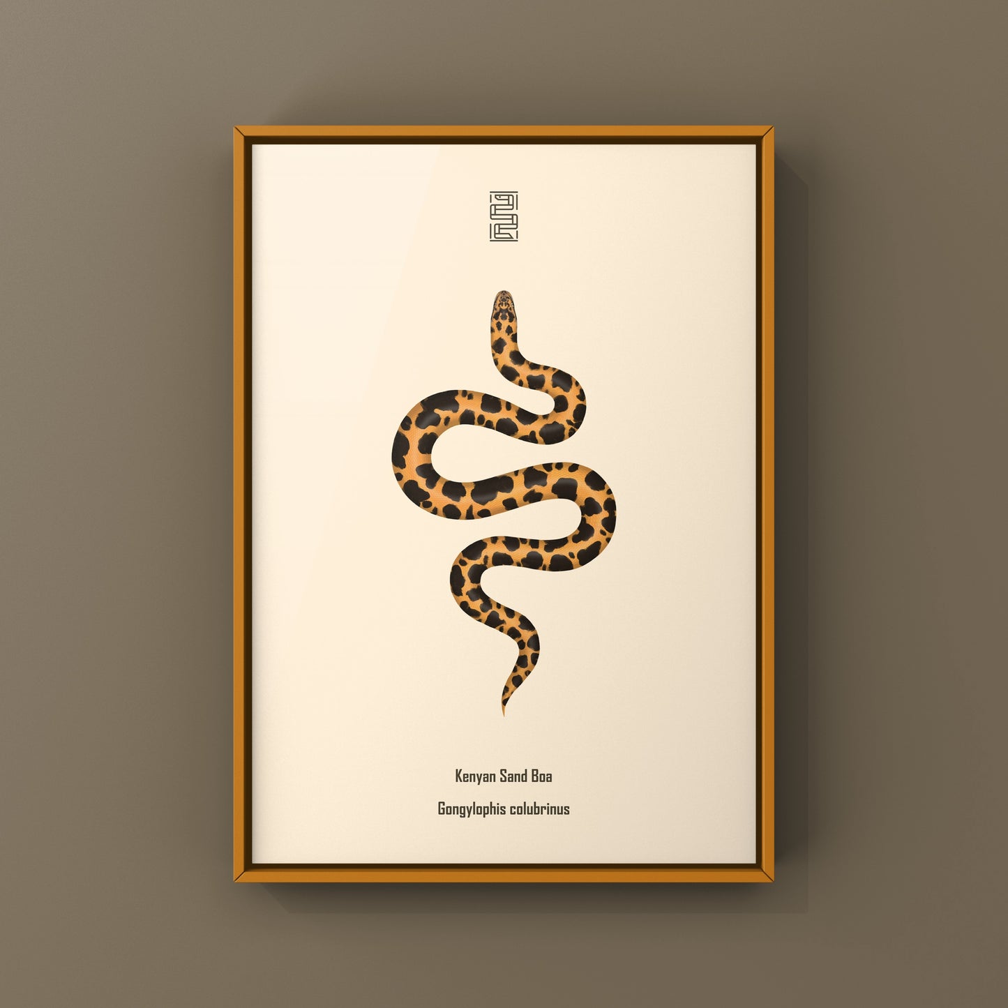 Kenyan Sand Boa art print by The Silk Ranch featuring a detailed illustration of Gongylophis colubrinus snake.