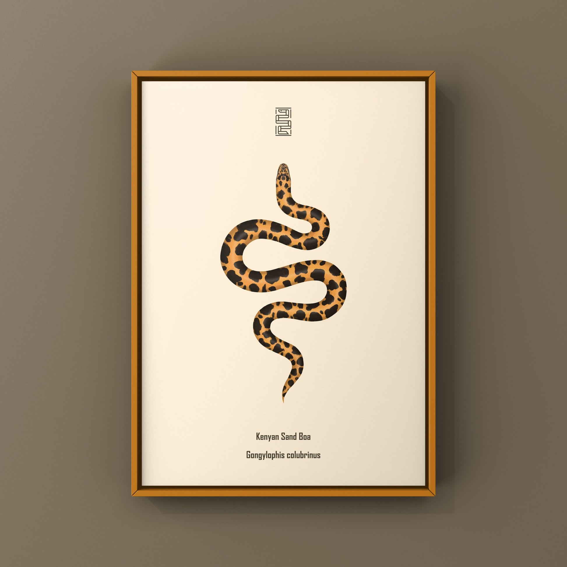 Kenyan Sand Boa art print by The Silk Ranch featuring a detailed illustration of Gongylophis colubrinus snake.