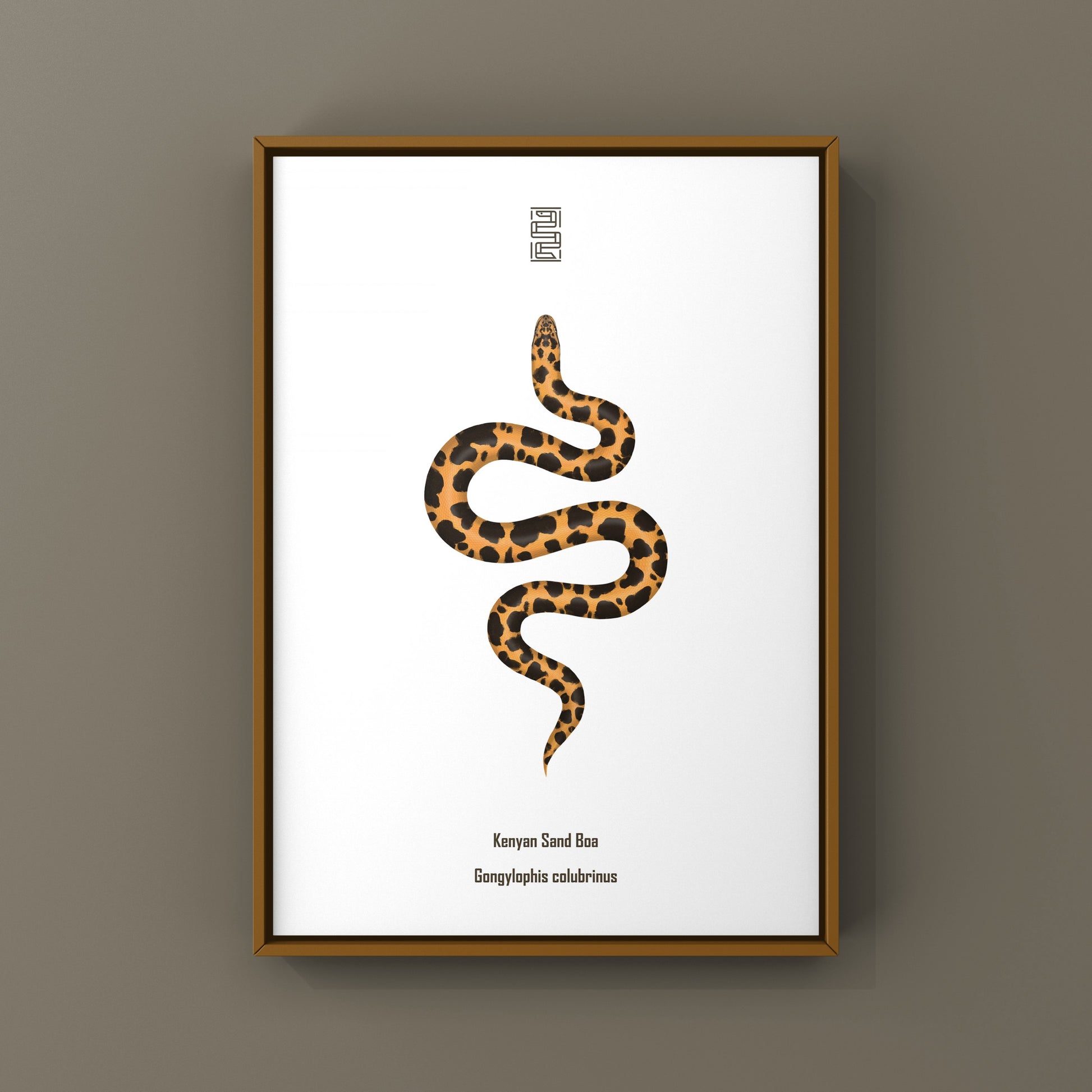 Kenyan Sand Boa art print featuring a Gongylophis colubrinus snake illustration, displayed on textured paper.
