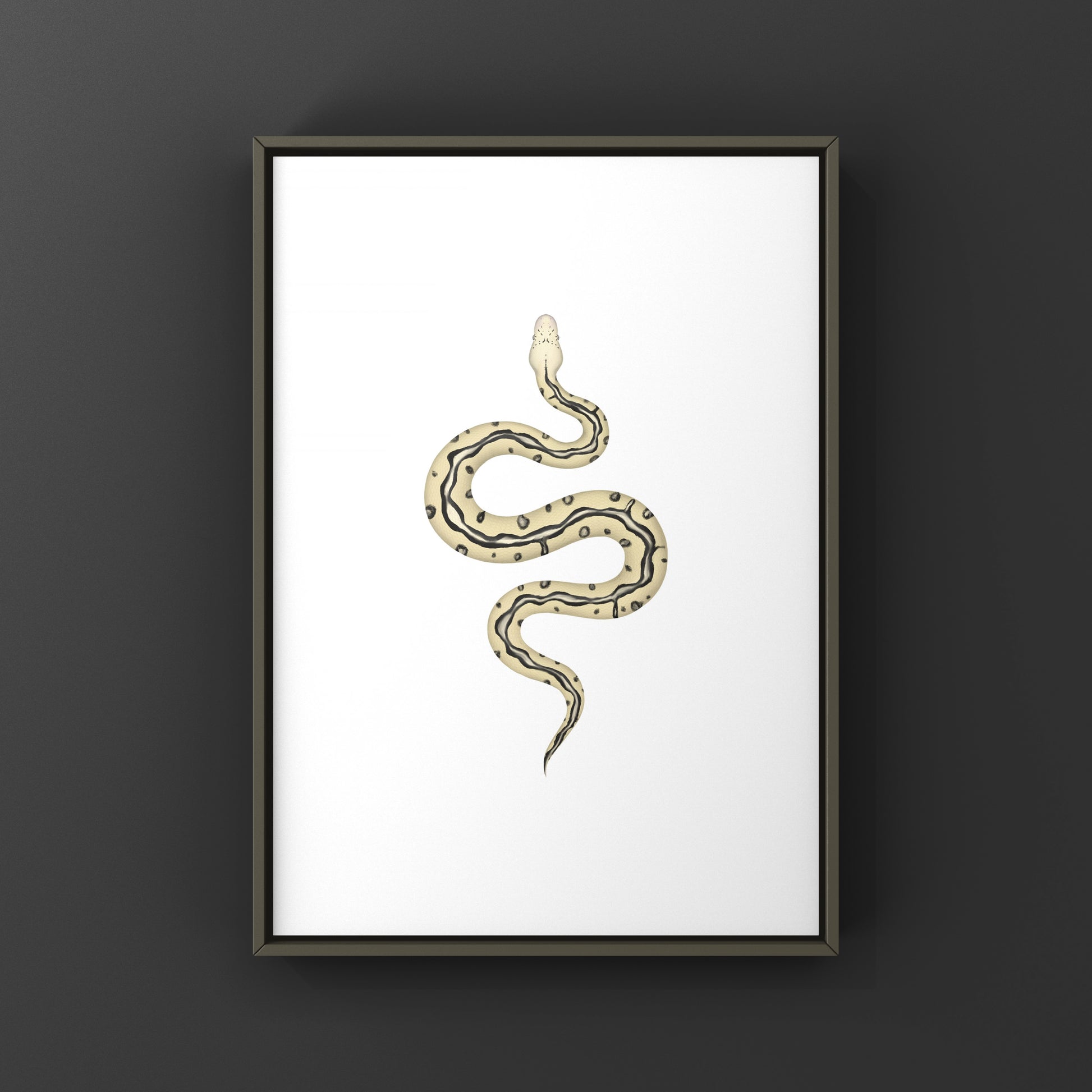 Pastel leopard desert ghost clown ball python art print showcasing vibrant snake patterns and colors, by The Silk Ranch.