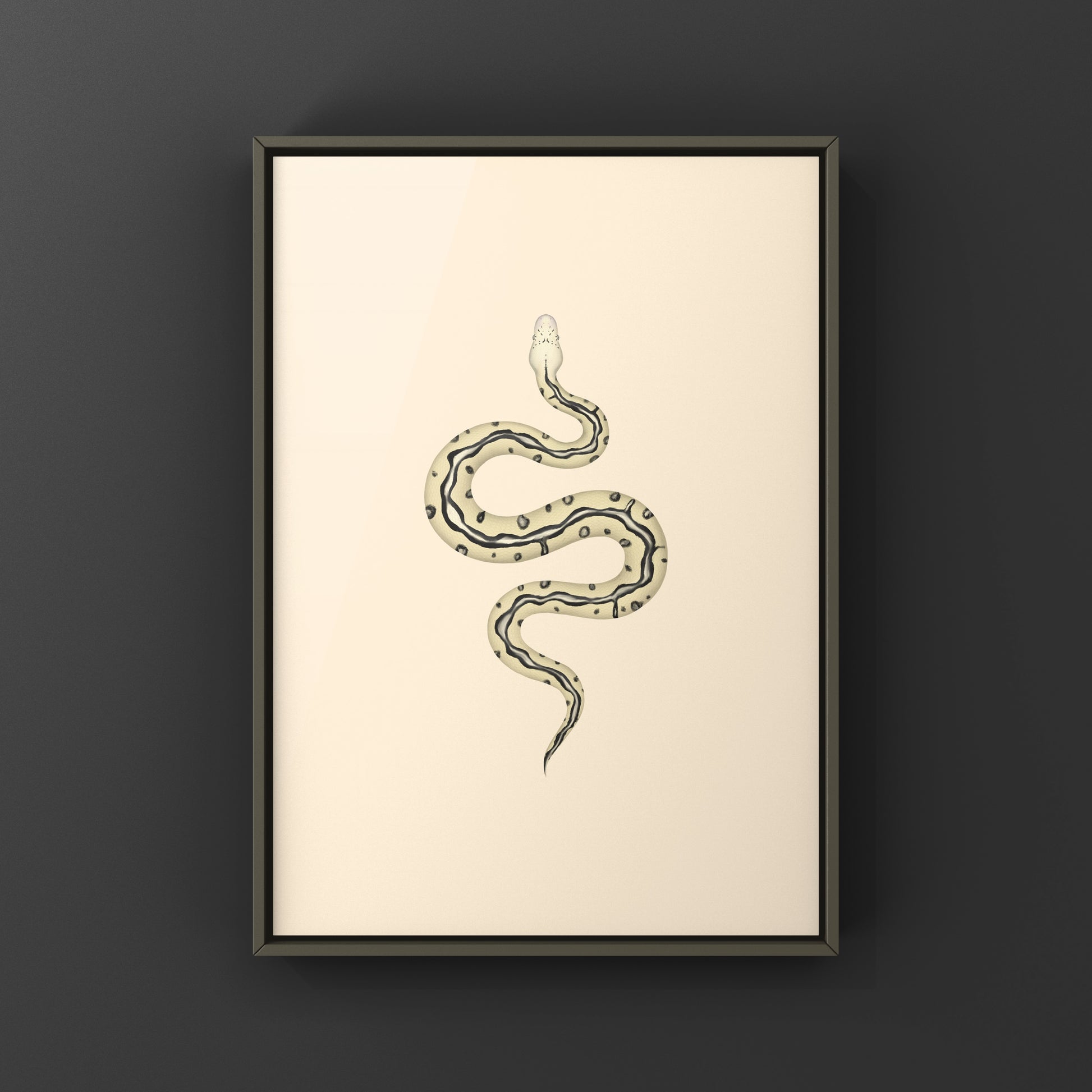 Pastel leopard desert ghost clown ball python art print showcasing vibrant colors and intricate snake pattern by The Silk Ranch.