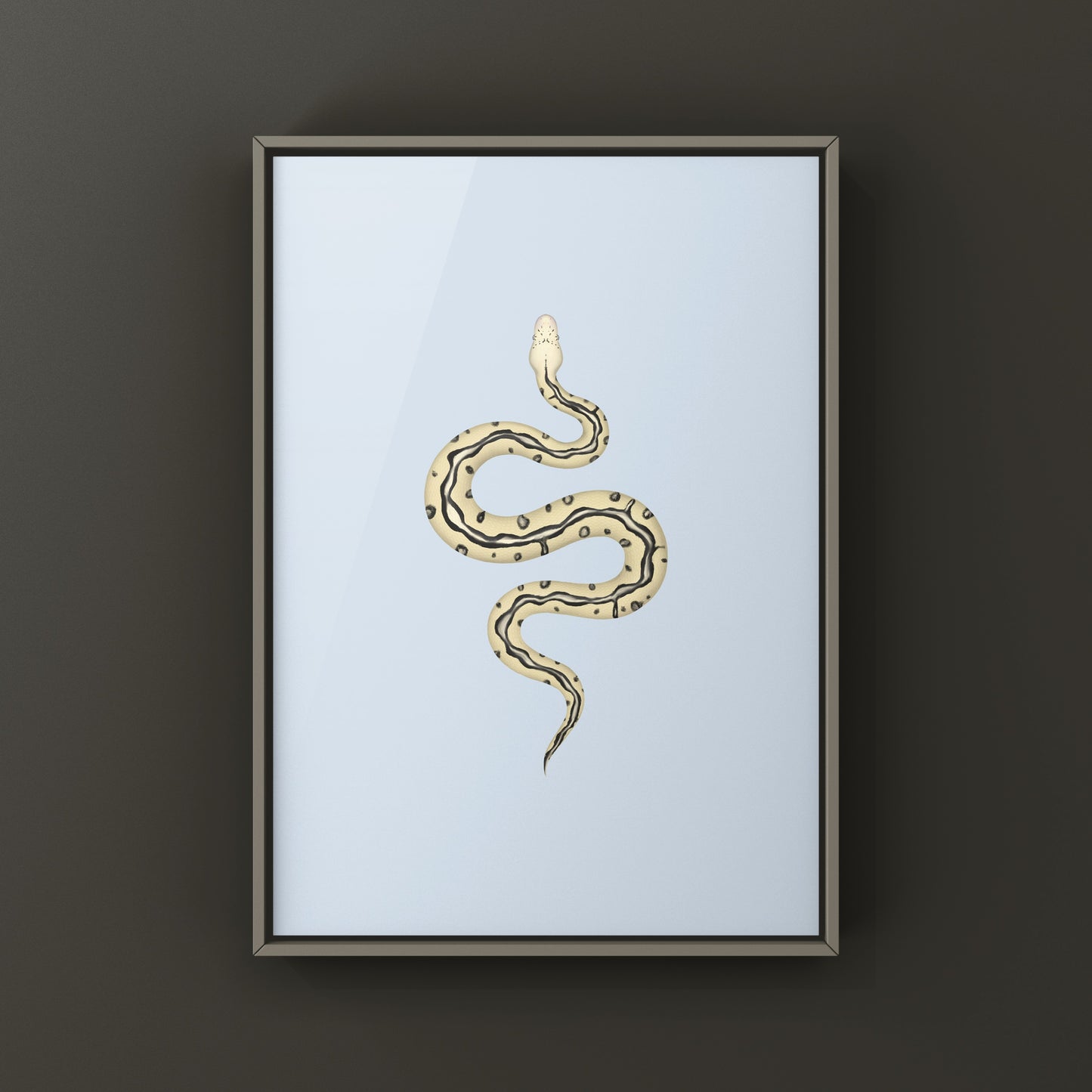 Pastel leopard desert ghost clown ball python art print showcasing vibrant snake patterns and colors, by The Silk Ranch.