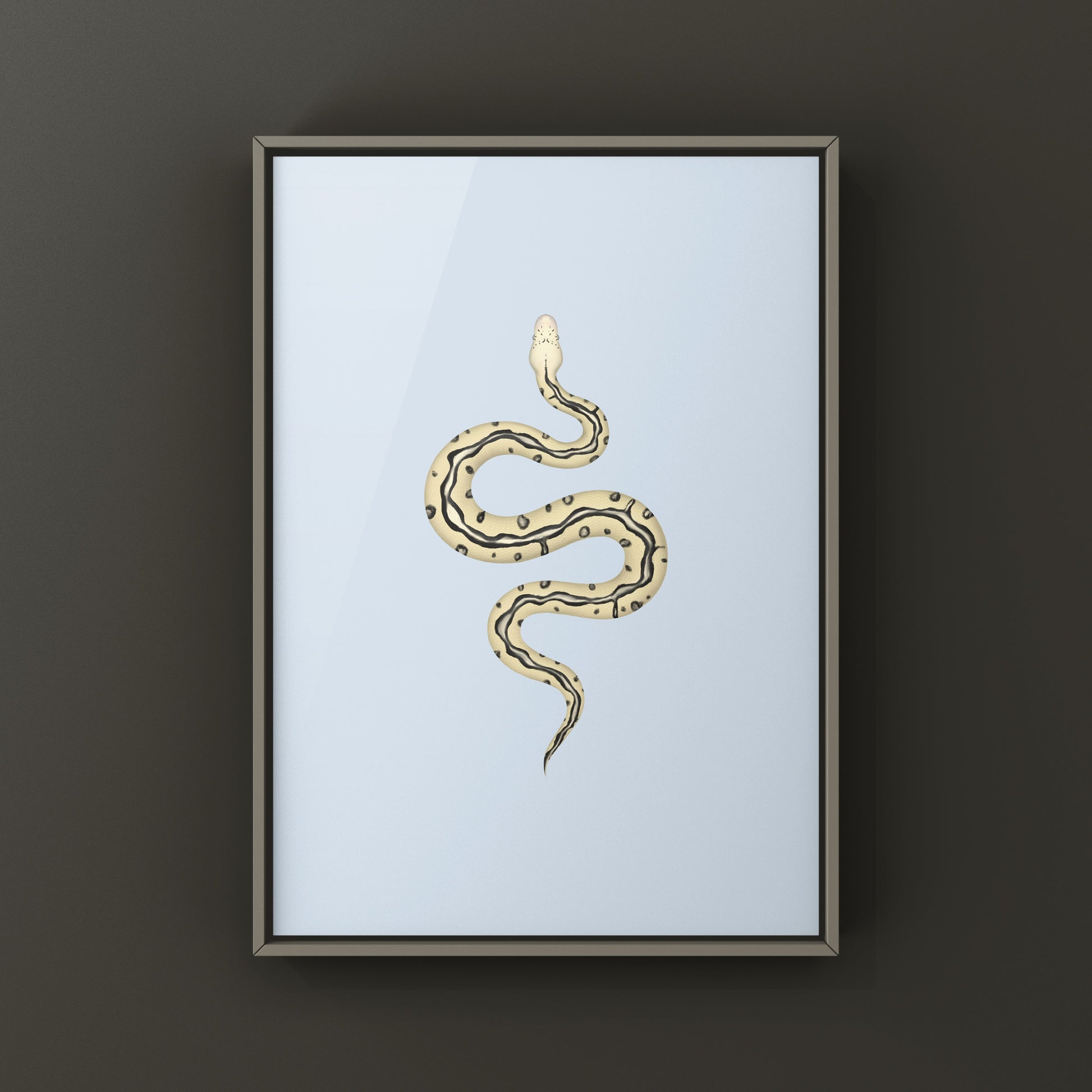 Pastel leopard desert ghost clown ball python art print showcasing vibrant snake patterns and colors, by The Silk Ranch.