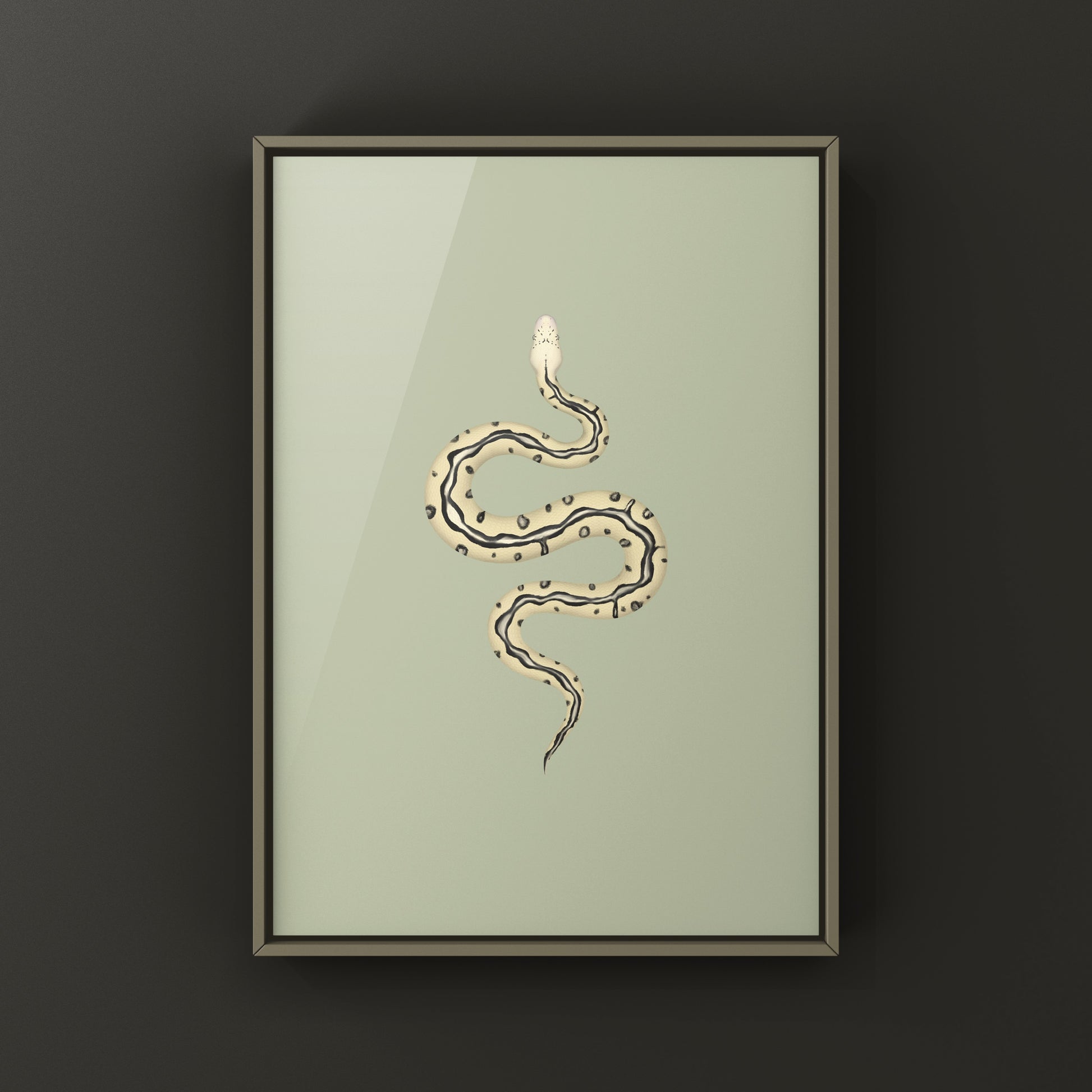 Pastel leopard desert ghost clown ball python art print showing detailed snake pattern and vibrant colors by The Silk Ranch.