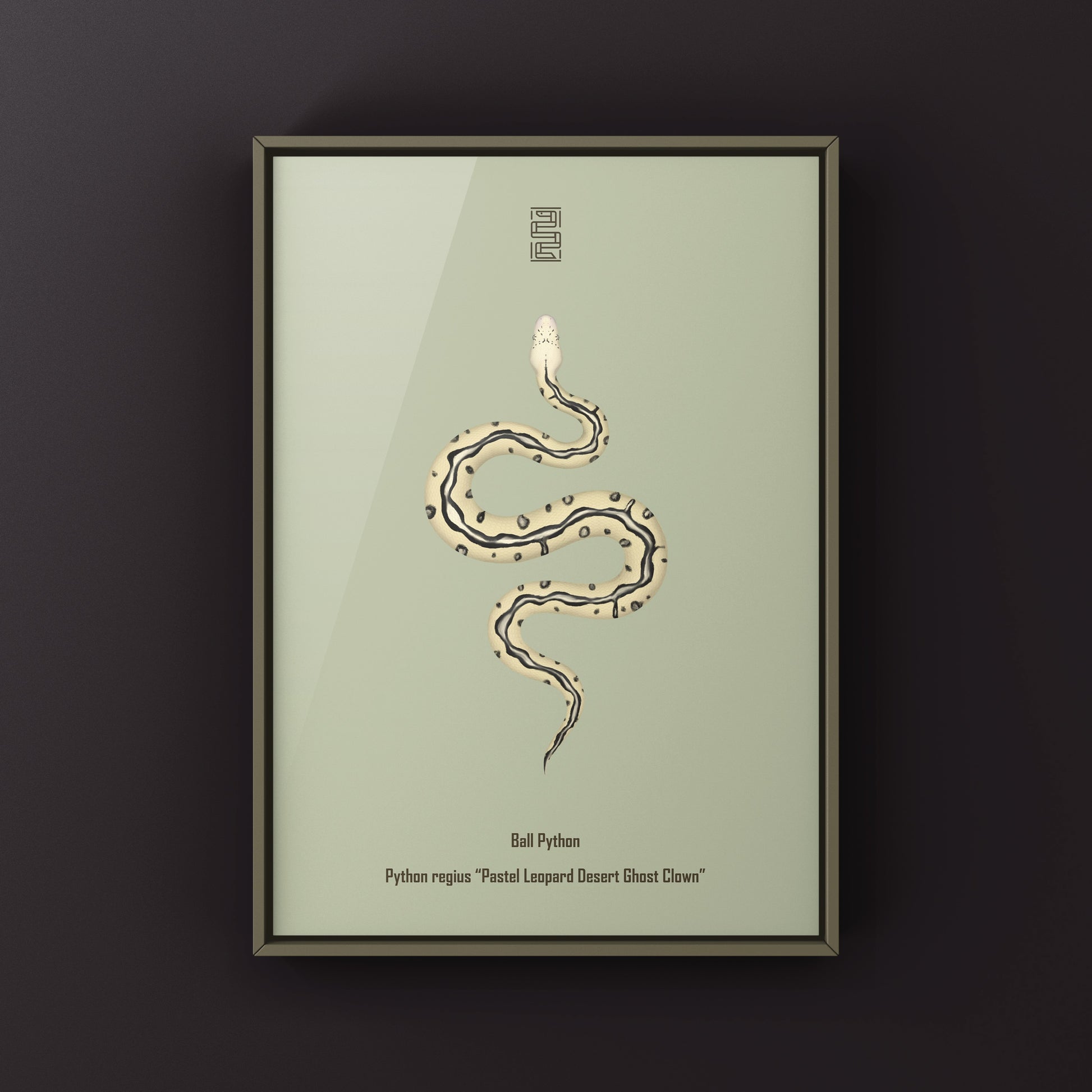Pastel leopard desert ghost clown ball python art print showcasing vibrant snake patterns on high-quality paper.