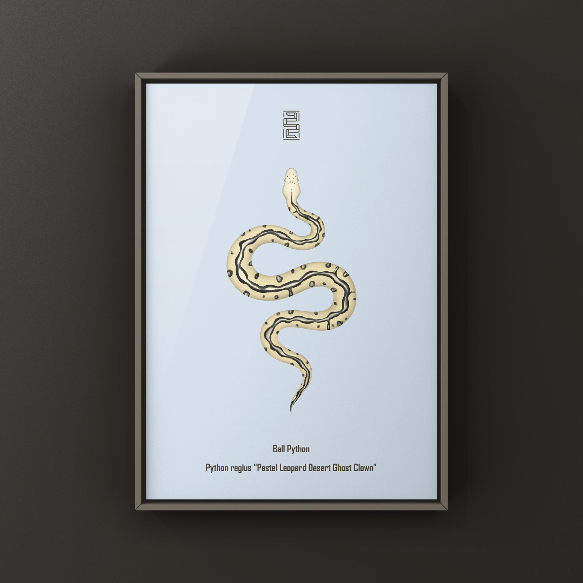 Pastel leopard desert ghost clown ball python art print showing vibrant snake patterns on a white background
