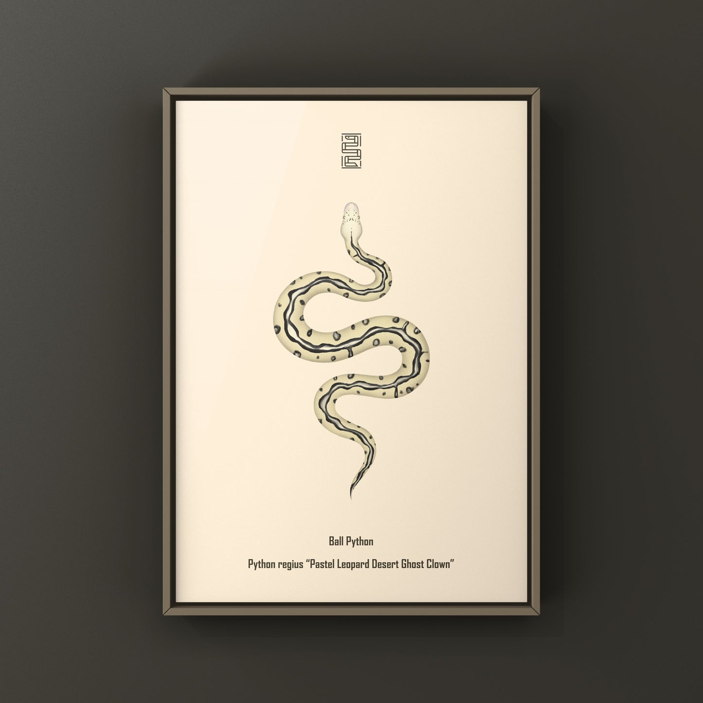 Pastel leopard desert ghost clown ball python art print showing detailed snake artwork on a white background