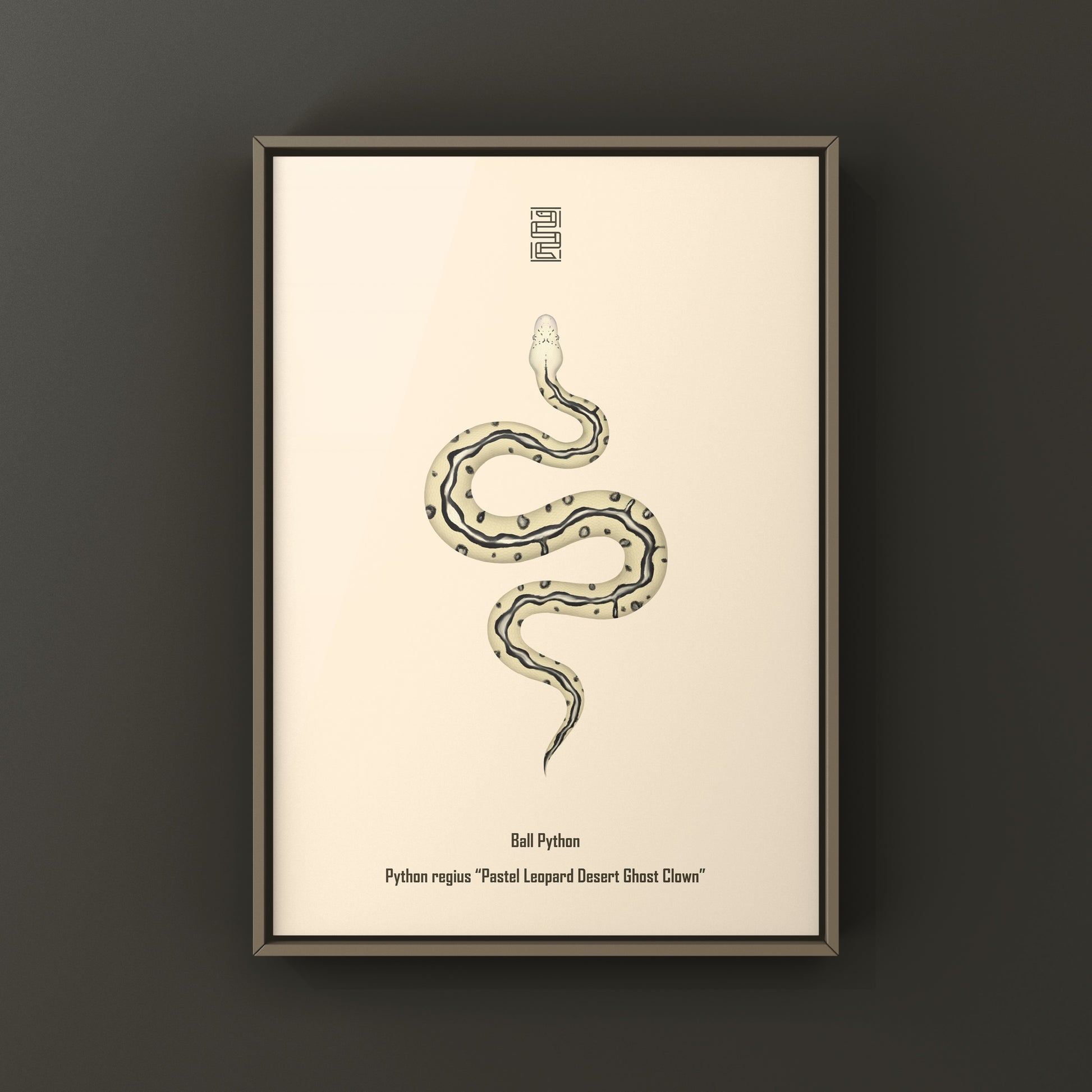Pastel leopard desert ghost clown ball python art print showing detailed snake artwork on a white background
