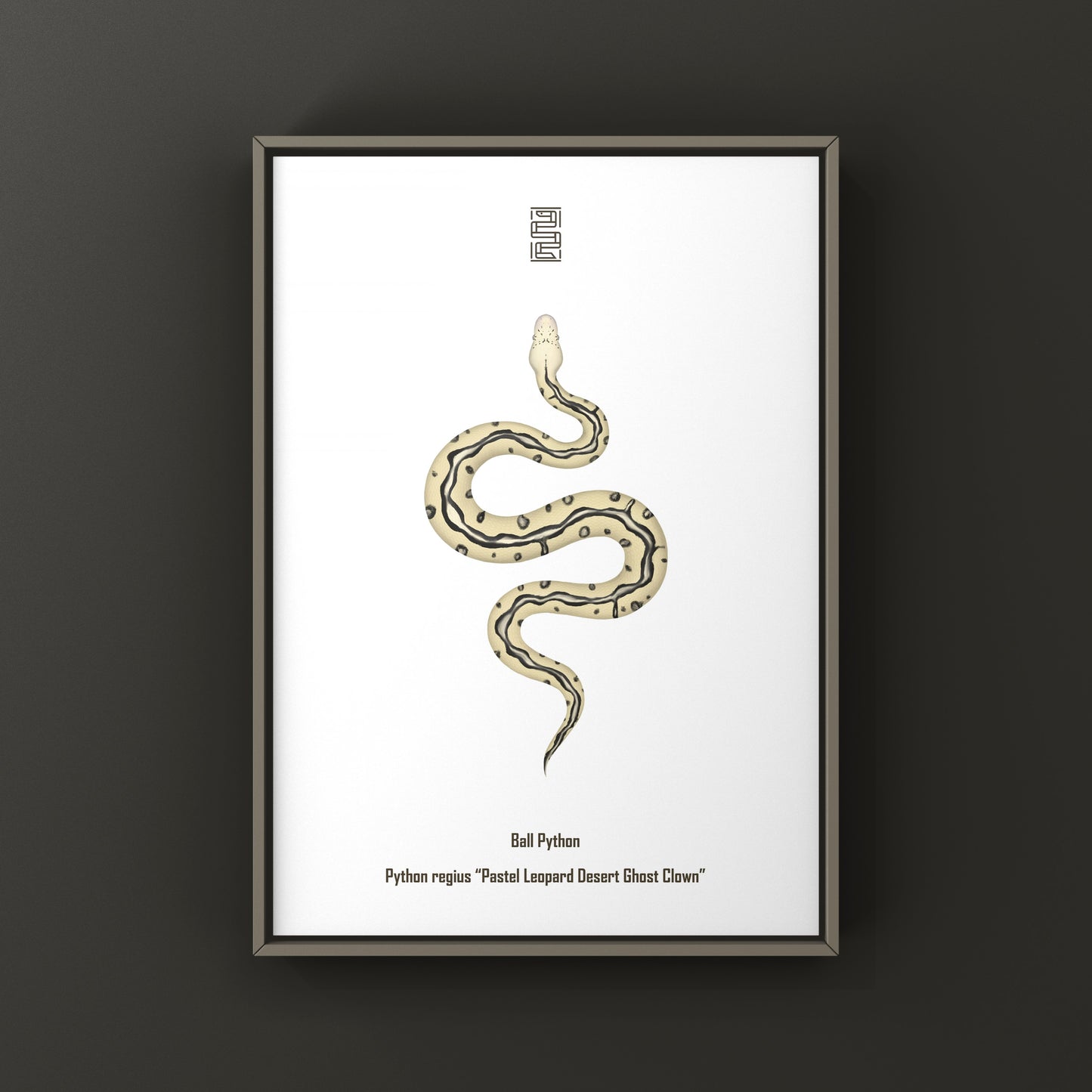 Pastel leopard desert ghost clown ball python art print showcasing vibrant colors and detailed snake illustration.