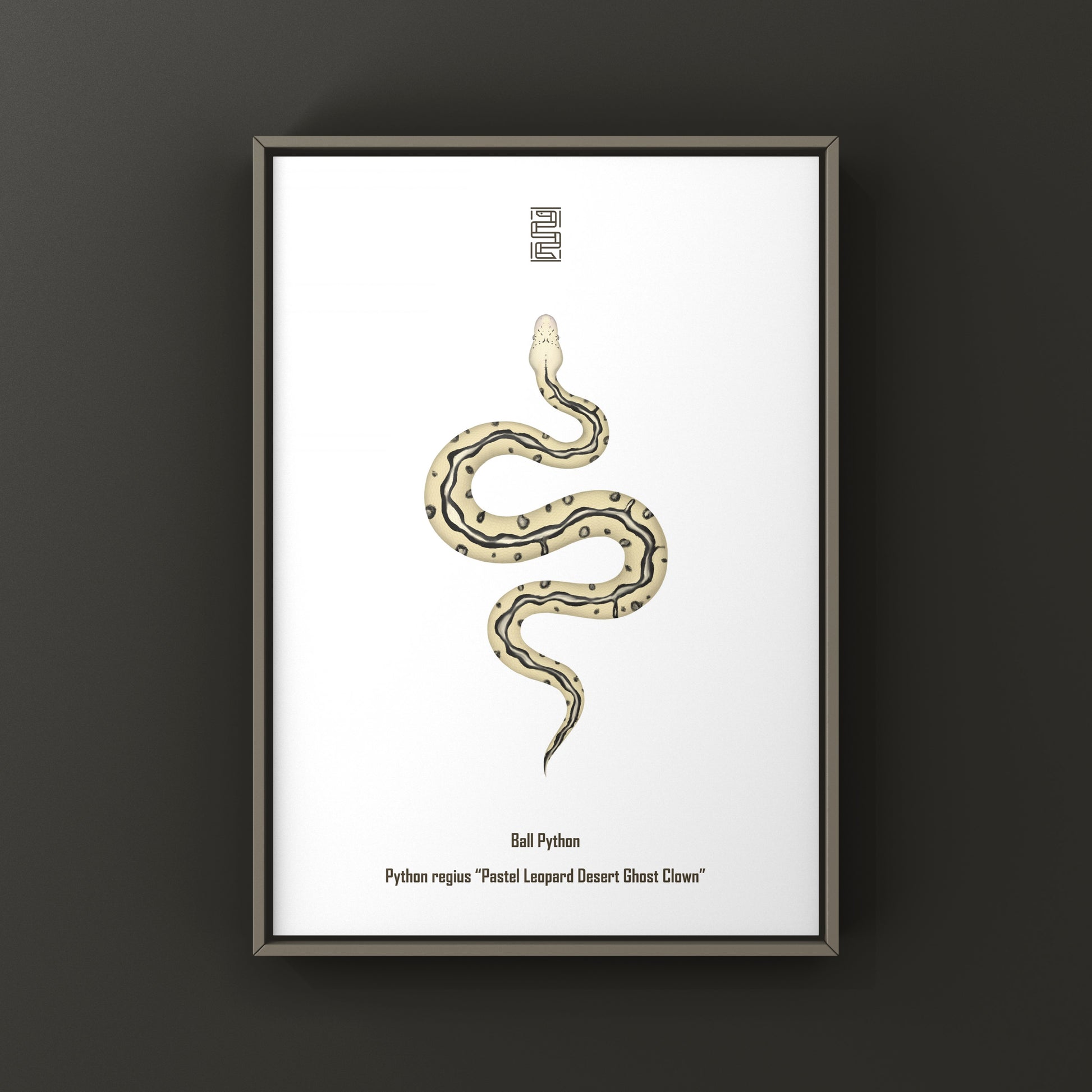 Pastel leopard desert ghost clown ball python art print showcasing vibrant colors and detailed snake illustration.
