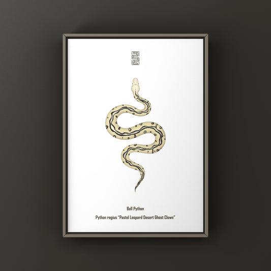 Pastel Leopard Desert Ghost Clown Ball Python Art Print (Python regius) from The Silk Ranch