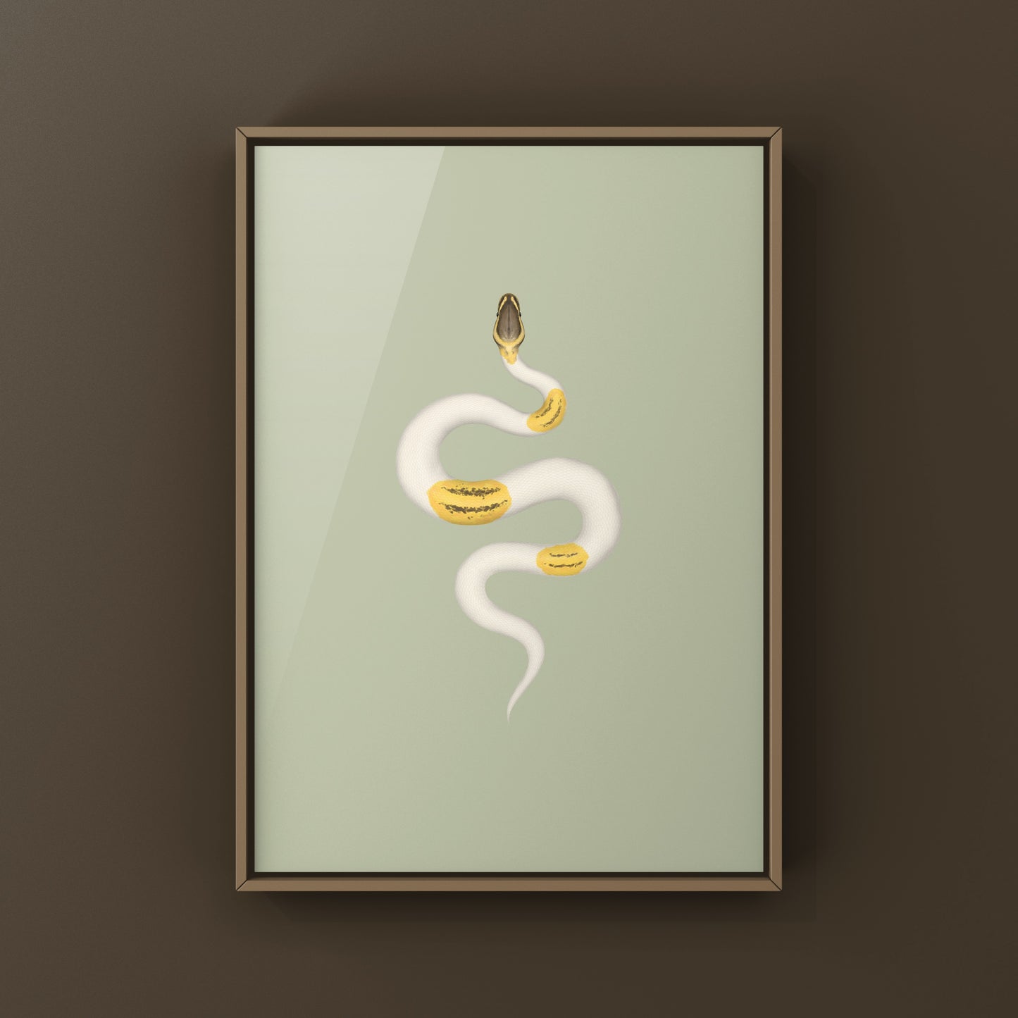 Firefly Yellowbelly Pied Ball Python art print featuring a colorful python with distinctive markings, created by The Silk Ranch.