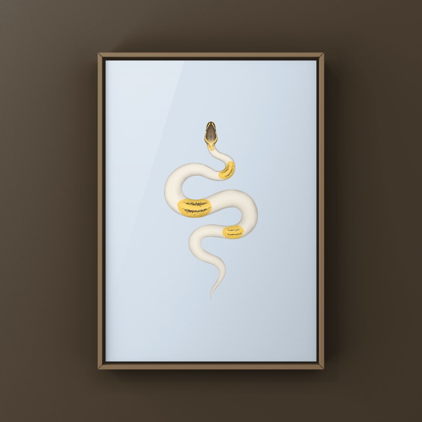 Firefly Yellowbelly Pied Ball Python art print by The Silk Ranch, featuring detailed illustration of Python regius on white background.