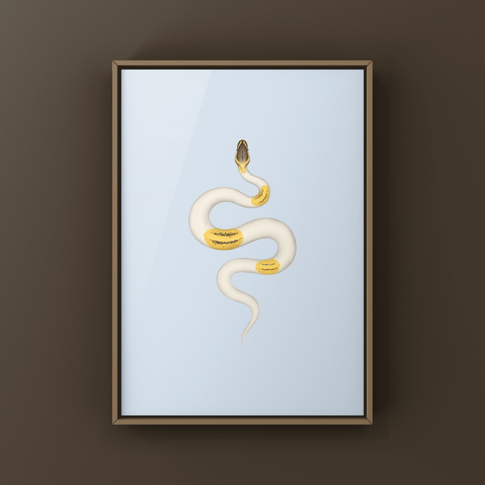 Firefly Yellowbelly Pied Ball Python art print by The Silk Ranch, featuring detailed illustration of Python regius on white background.