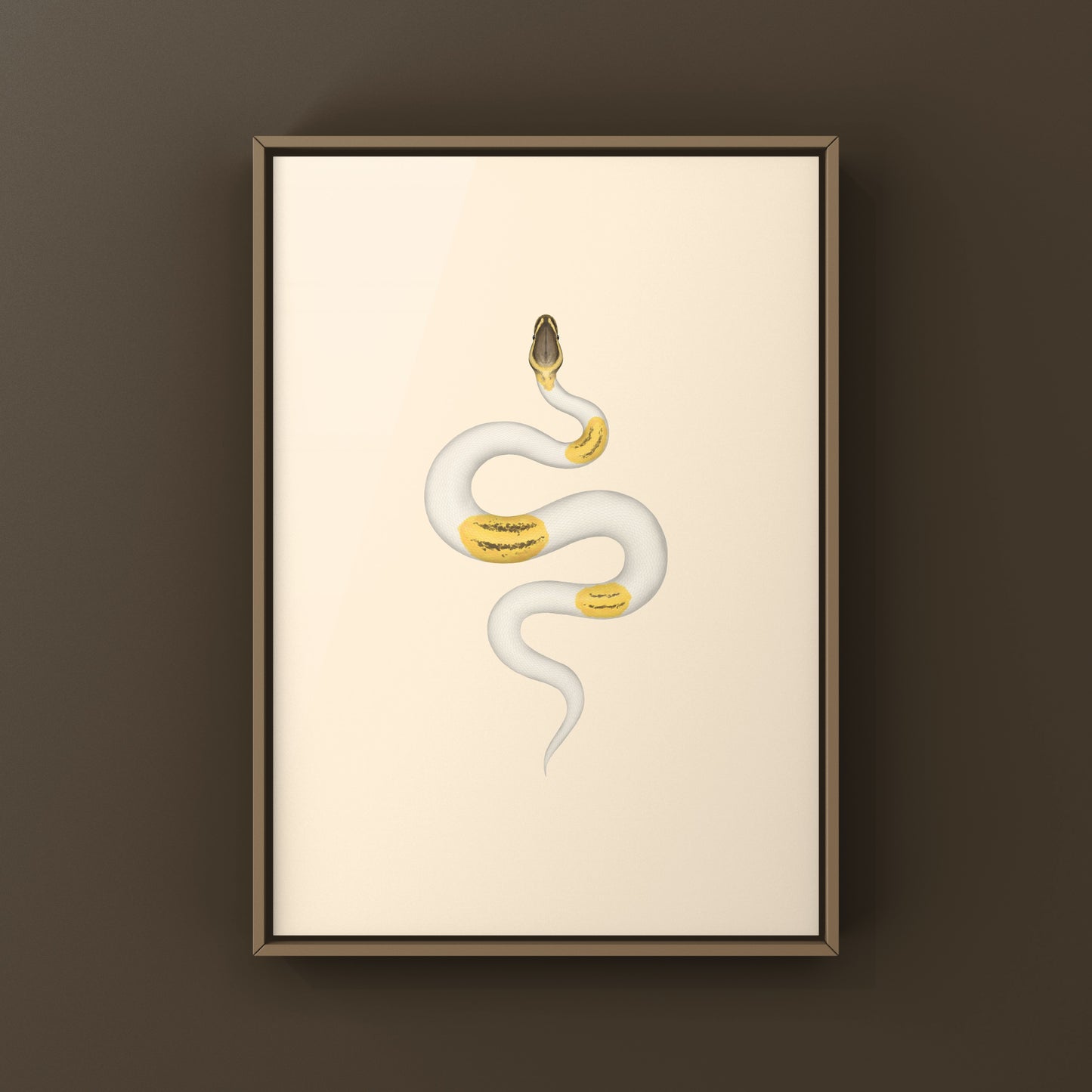 Firefly Yellowbelly Pied Ball Python art print featuring a colorful python illustration by The Silk Ranch.