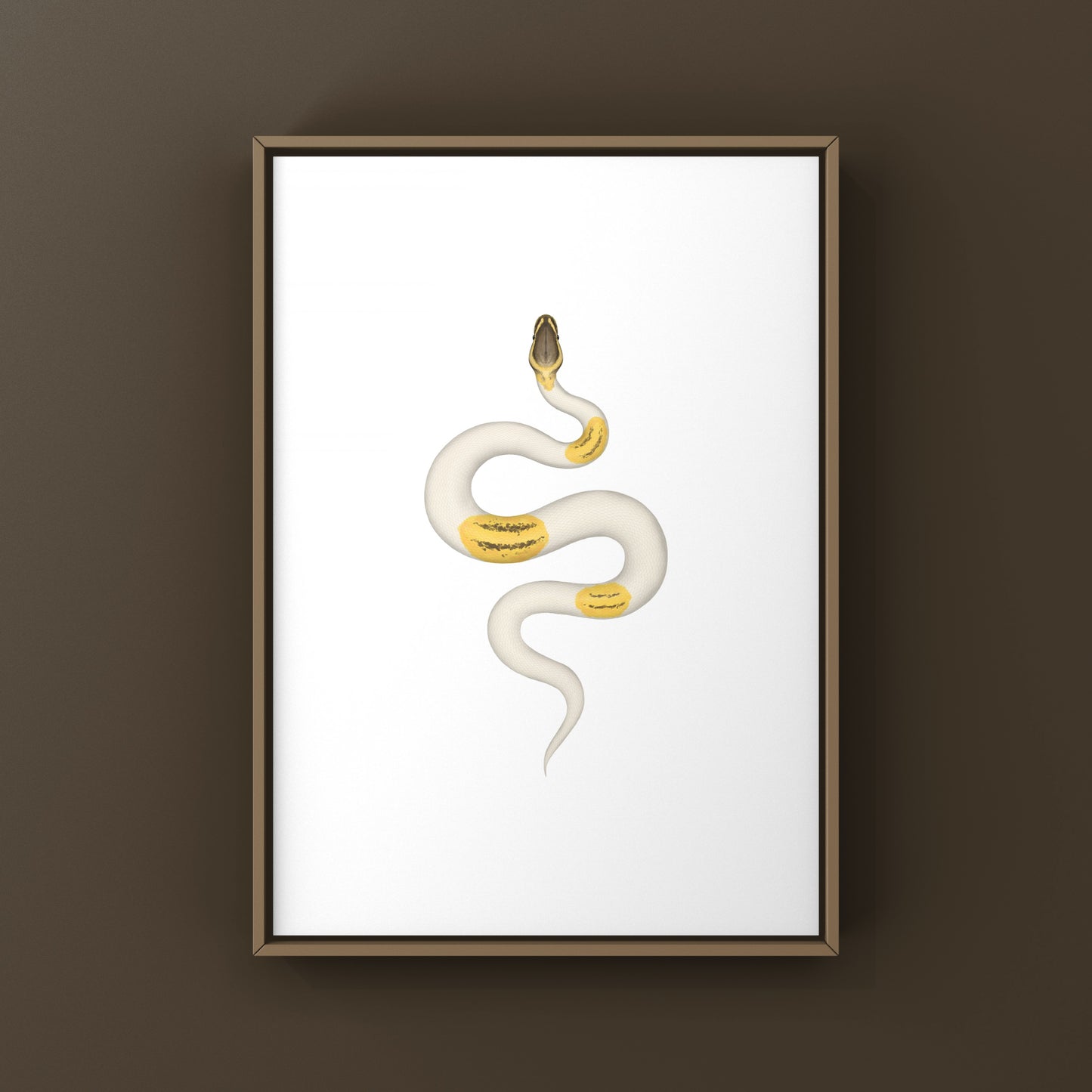 Firefly Yellowbelly Pied Ball Python art print by The Silk Ranch featuring detailed snake illustration on white background.