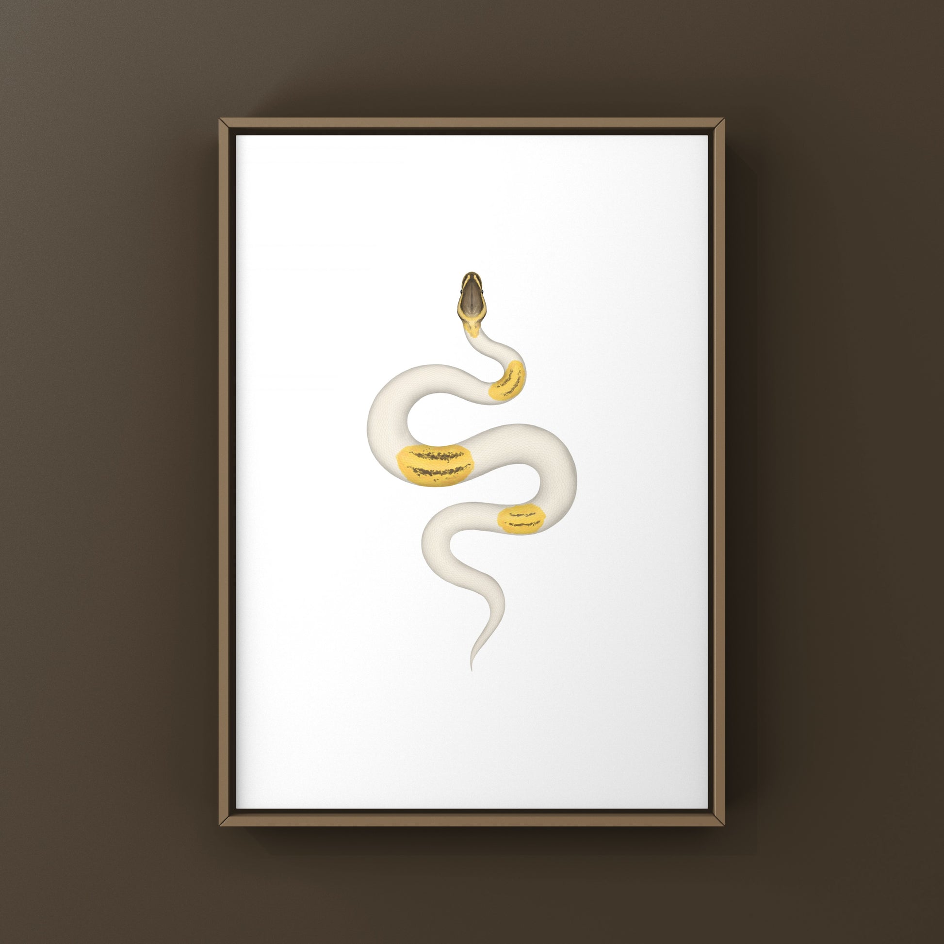 Firefly Yellowbelly Pied Ball Python art print by The Silk Ranch featuring detailed snake illustration on white background.