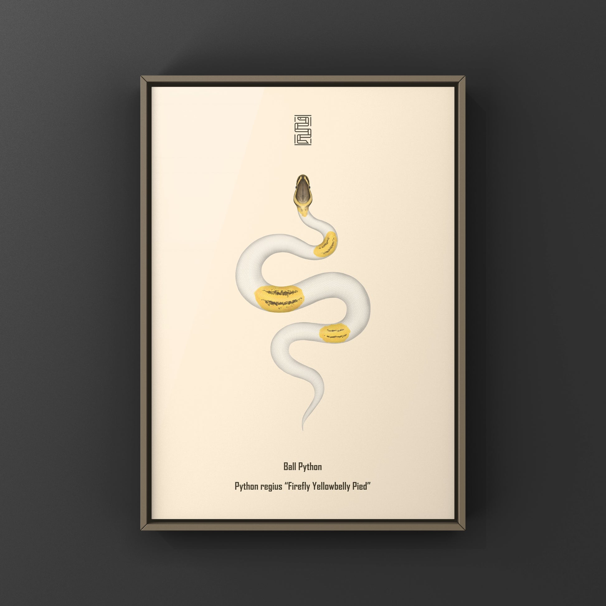 Firefly Yellowbelly Pied Ball Python art print showcasing a colorful snake illustration by The Silk Ranch.