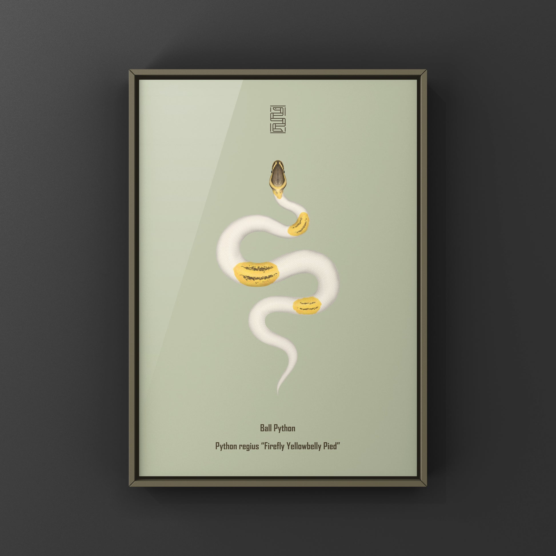 Firefly Yellowbelly Pied Ball Python art print by The Silk Ranch, showcasing detailed snake illustration on white background.